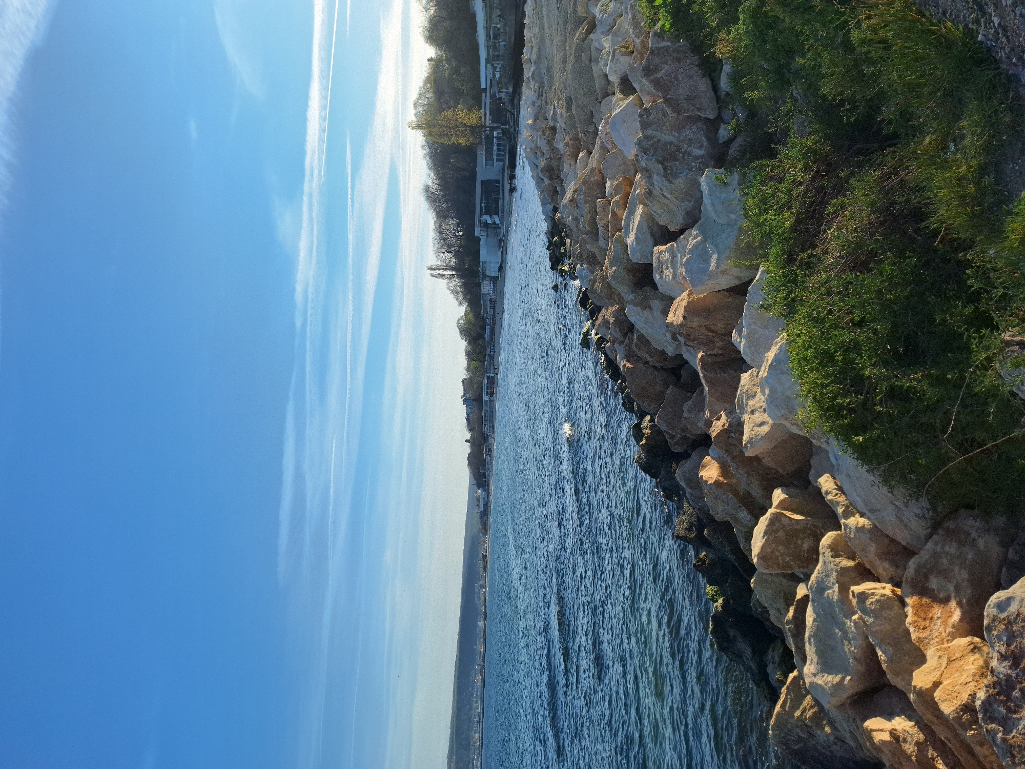 This image presents a sunny coastal landscape in Varna, Bulgaria, captured from a perspective looking along the shore. The scene is dominated by three main elements: the sky, the sea, and the rocky shoreline.
The left portion of the frame features a clear, vibrant blue sky. Several distinct white contrails from airplanes streak horizontally across the upper part of the sky, indicating fair weather. The sun is visible in the upper right, casting bright, warm light across the entire scene.
The middle section of the image is occupied by a body of water, likely the Black Sea. Its surface is a deep blue, with visible ripples and waves reflecting the sunlight.
On the right side of the frame, a rugged shoreline or breakwater is prominently displayed, composed of numerous large, irregularly shaped rocks and boulders. These rocks vary in color from light grey to warm, sun-kissed beige, with strong highlights and shadows created by the direct sunlight. Patches of lush green vegetation, including grass and small bushes, grow densely among and on top of these rocks, adding organic texture to the rocky structure. Some darker green moss or algae is visible on the rocks closer to the waterline.
Across the water, a distant coastline is visible, featuring a long stretch of land with what appears to be a coastal settlement or town. Several buildings, some distinctly white, are nestled amidst a line of trees along the far shore, with a narrow strip of sand possibly indicating a beach.
The overall impression is one of a serene and natural seaside environment under a clear, bright sky. The strong, directional light suggests either early morning or late afternoon. No people or visible text are present in the image.