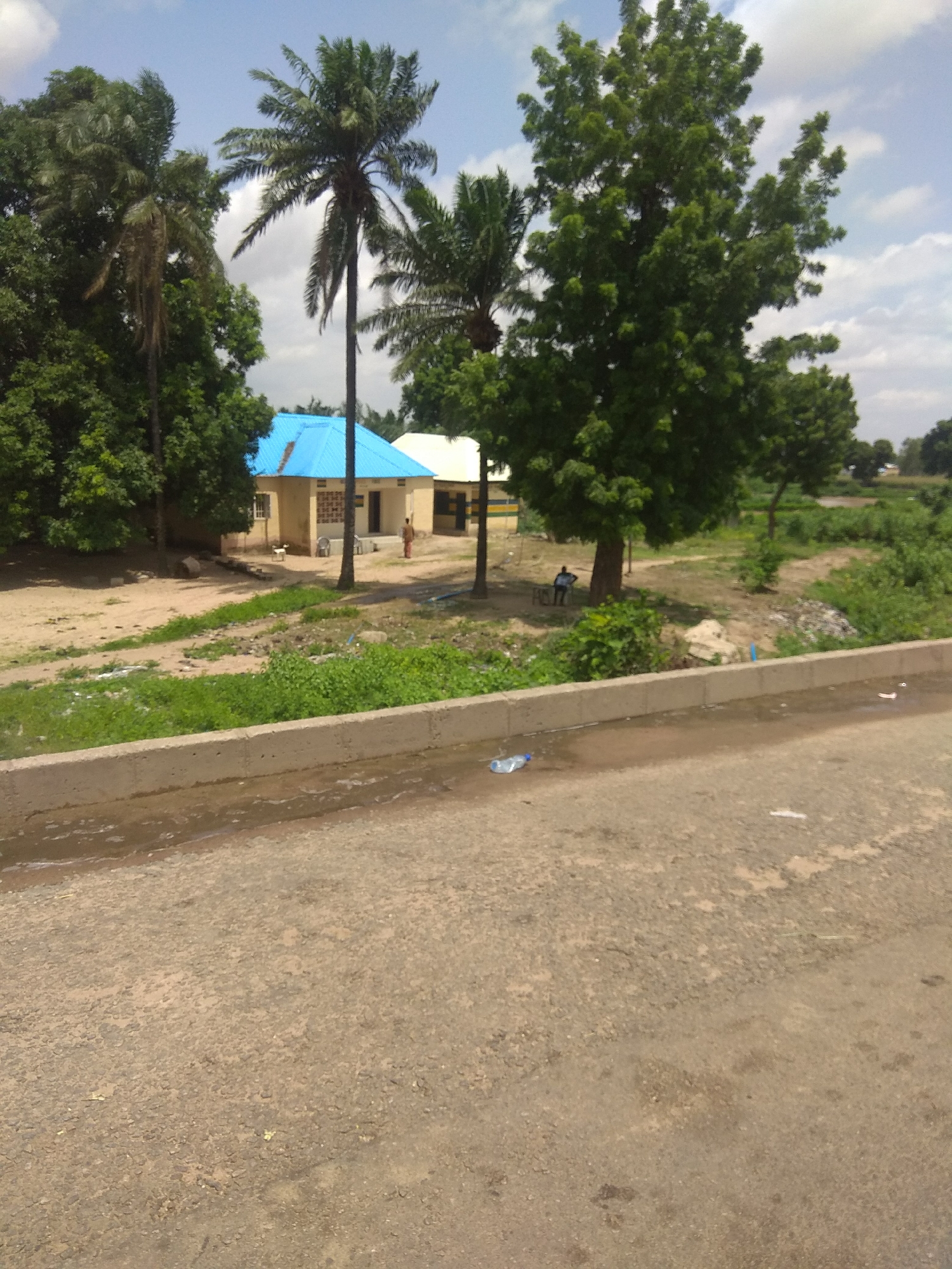 This is a medium-shot, eye-level photograph taken in Jalingo, Nigeria. The foreground features a dirt road with a concrete barrier running along its edge, on which a plastic water bottle is visible. Behind the barrier, a patch of green grass and vegetation is present. In the middle ground, there is a light-colored building with a bright blue corrugated metal roof. To the left of the building, a woman in an orange garment is walking. To the right of the building, a person is seated on a bench under a large, leafy tree, with another building or structure partially visible behind them. A small white dog is also present near the main building. The background consists of lush green trees, palm trees, and a partly cloudy sky. The overall scene depicts a somewhat rural or semi-urban environment, possibly a residential or community area.