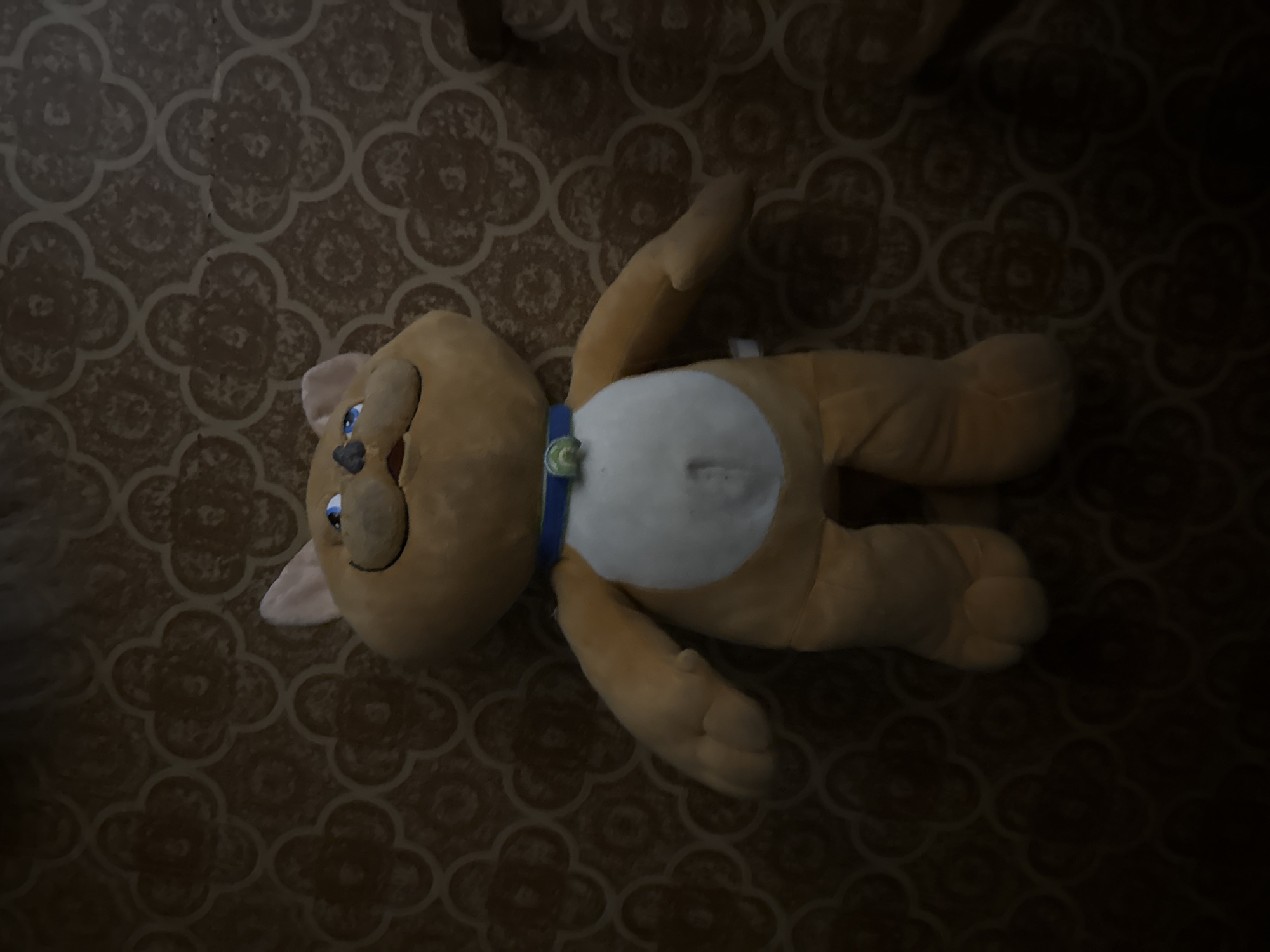 A tan plush toy cat with a white belly, blue eyes, and a blue collar with a green medallion lies on a brown patterned floor. The location appears to be indoors in Khimki, Russia, based on the image context.