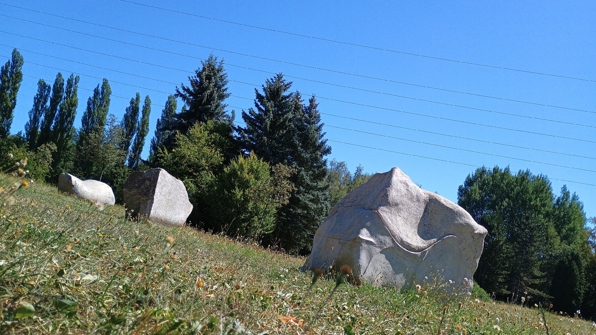The image shows a grassy slope in the city of Sokolov, Czechia, under a clear blue sky. Several large, irregular-shaped stone sculptures are scattered across the slope. The foreground is filled with dry grass and some small yellow flowers. In the background, there is a dense line of trees, including tall, slender trees and evergreen conifers. Power lines are visible crisscrossing the upper part of the sky. The overall scene depicts an outdoor public space with artistic installations.