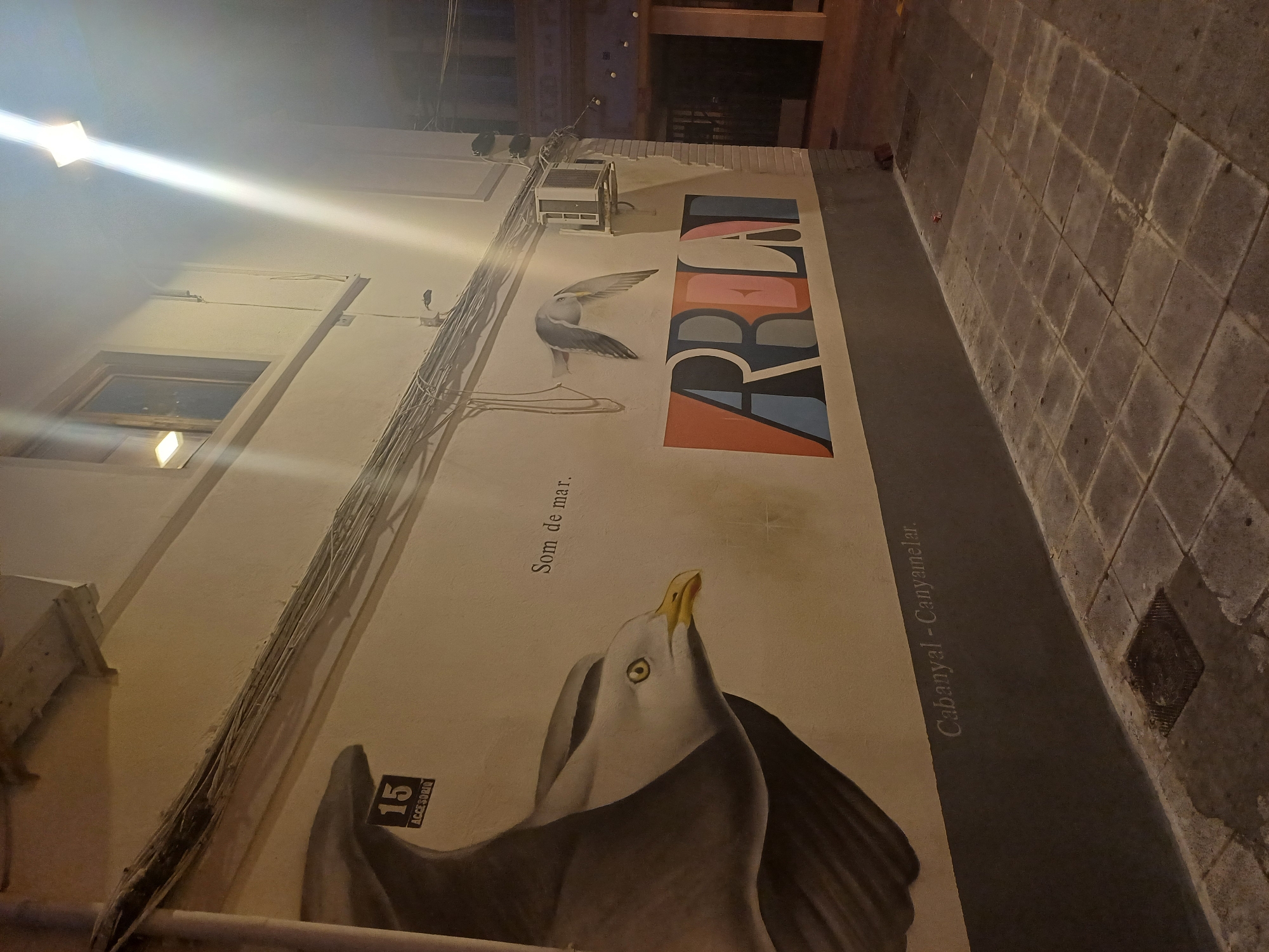 The image captures a nighttime scene of a mural located in Cabanyal-Canyameral, a district in the city of València, Spain. The mural features a depiction of seagulls in different poses, with the word "ARRELA" written in a large, stylized font above the image. The phrase "Som de mar." (We are from the sea) is also part of the mural. The wall it is painted on has an air conditioning unit and some electrical wiring running along it. A bright light is on the adjacent building. The ground adjacent to the mural is paved with rectangular blocks.