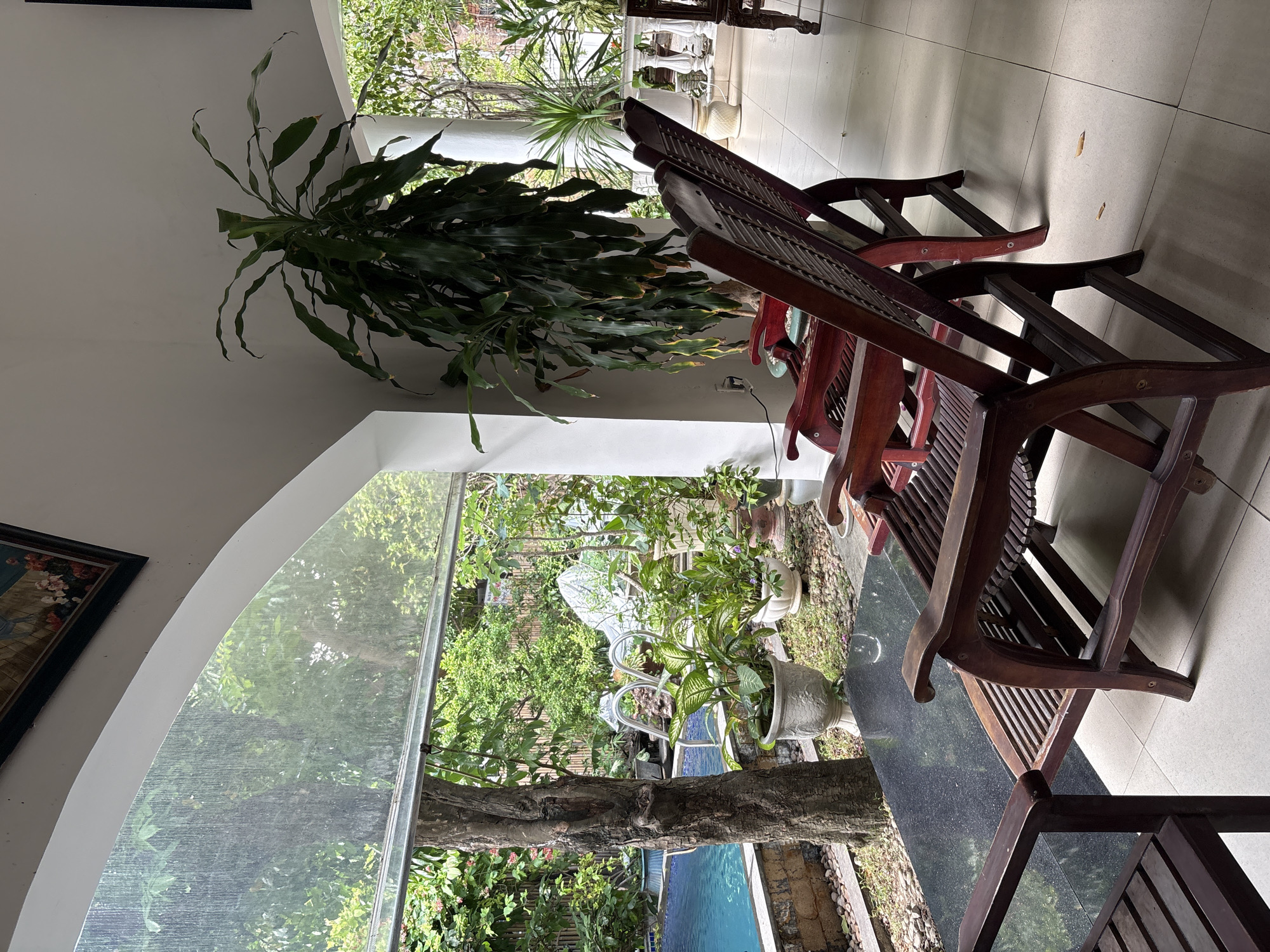 The image depicts a covered patio area in front of a residential property in Nha Trang Ward, Vietnam. Two dark wooden lounge chairs with slatted seats and backs are positioned on a tiled floor. One chair is in the foreground on the left, and another is slightly behind it and to the right. A black granite-topped table is situated in front of the left chair. Beyond the patio, a swimming pool with blue water is visible, bordered by stone and pebbles. Lush green foliage, including trees and potted plants, surrounds the pool area. A large, leafy potted plant is prominently displayed on the patio to the right of the chairs. A white railing and pillars are also visible on the right side of the image, suggesting the presence of a veranda or balcony. The scene appears to be set during the daytime, with natural light illuminating the area. There are no people present in the image.