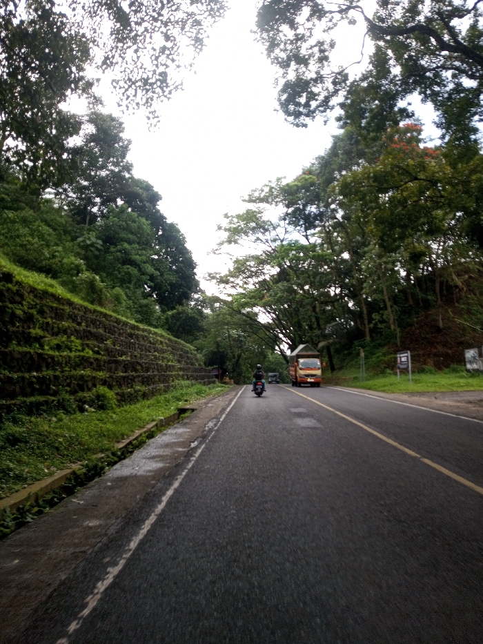 The image depicts a wet asphalt road traversing a verdant, hilly landscape in Domphoog_Dungkarchhoeling, Bhutan, under a bright, overcast sky.
The road features two lanes, dark in color due to wetness, with a solid white line marking the left edge and double solid yellow lines indicating the center. Patches of lighter asphalt are visible on the road surface.
To the left of the road, a steep, densely vegetated embankment rises, supported by a multi-tiered retaining wall constructed from dark, rough-hewn stones. This wall is partially covered with moss and small green plants. Above the wall, a dense forest of tall, green trees obscures the background. A narrow concrete drainage ditch runs between the road's edge and the retaining wall.
To the right of the road, a vegetated slope is visible, featuring numerous tall trees with dense green foliage, some exhibiting reddish leaves, forming a canopy overhead. A white rectangular sign, mounted on a pole, is partially visible on the right shoulder.
A dark-colored motorcycle, operated by an individual wearing a dark helmet and jacket, is traveling away from the viewer in the left lane. Further ahead in the right lane, an orange-red truck with a light-colored box cargo bed is also moving away. Behind the truck, a dark-colored sedan or small car is partially visible, following in the same direction.