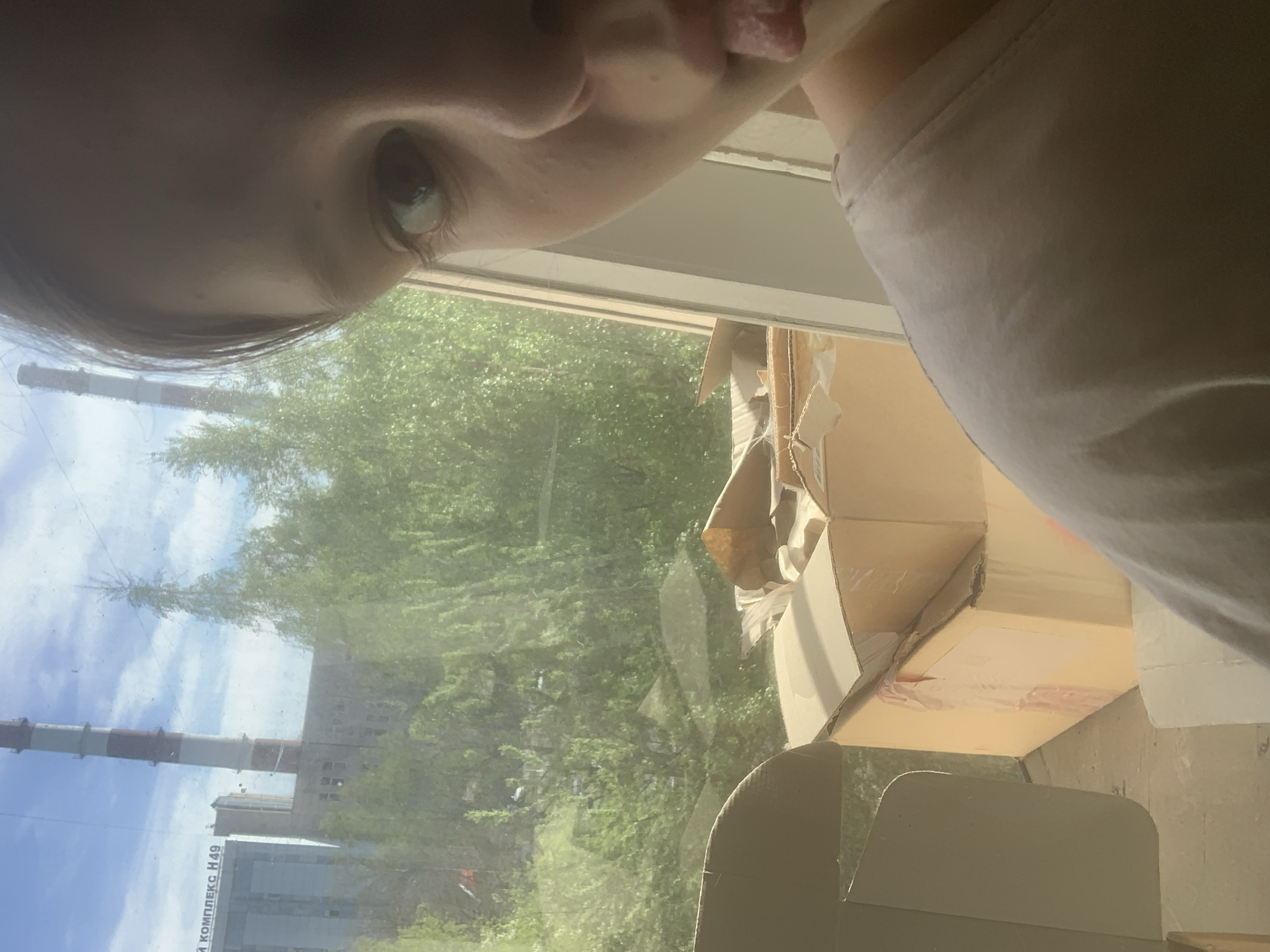The image appears to be a selfie taken indoors, looking out a window. The individual's face is partially visible in the upper portion of the frame, with one eye prominently displayed. A portion of their tongue is also visible. The background is dominated by an outdoor scene, visible through the window. The scene includes foliage, likely trees, and an industrial structure with a tall chimney. The chimney has alternating red and white sections. The building is labeled "КОМПЛЕКС H49," indicating the location is likely in or near an industrial complex. Based on this label and the appearance of the chimney, the industrial complex is located in Novoe Devyatkino, Russia. To the right side of the window, inside the room, there are cardboard boxes. One box appears to be partially open and torn, with remnants of packaging materials visible. Part of a light colored chair is also visible in the lower part of the frame. The lighting suggests it is daytime.