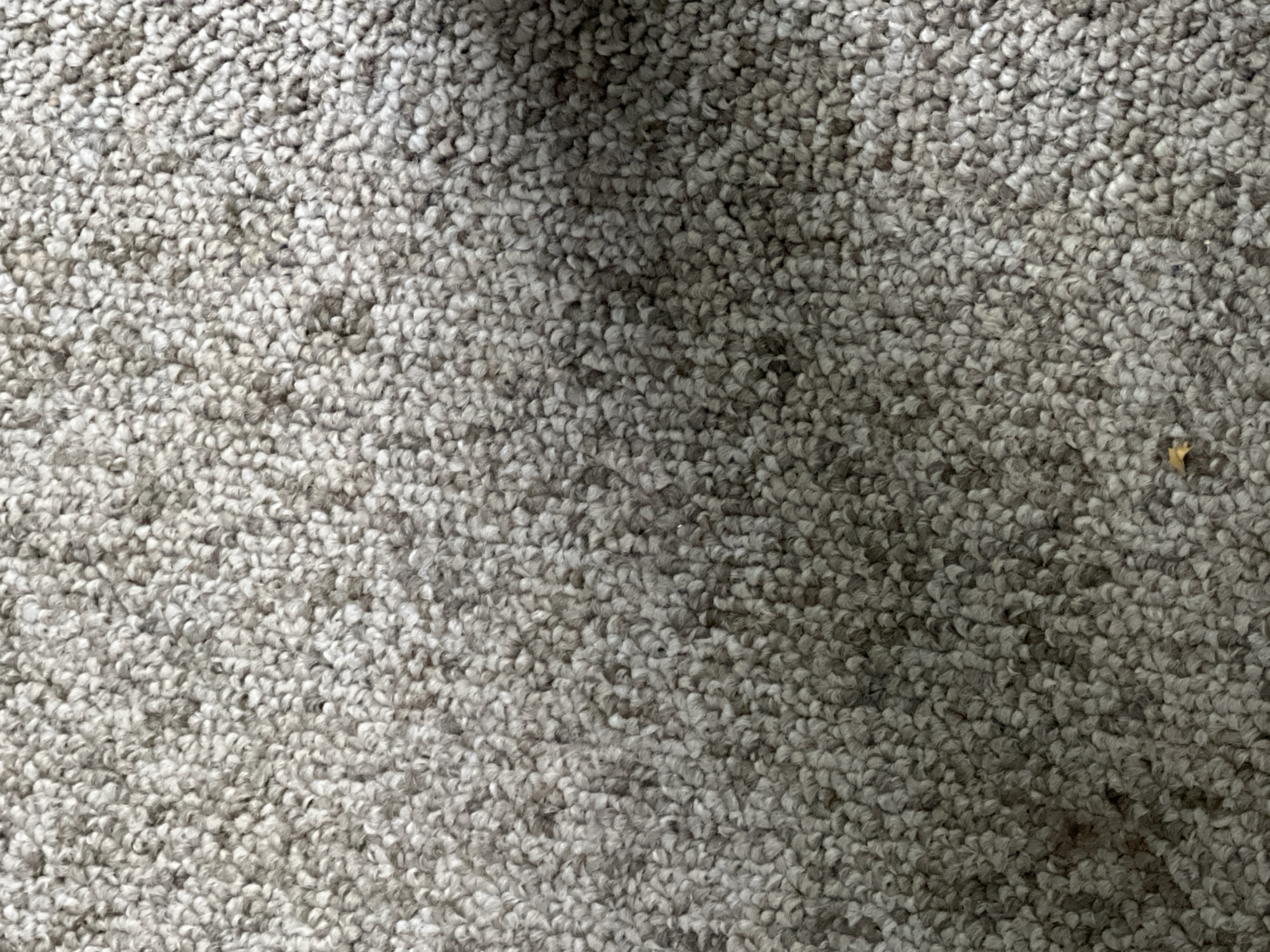 The image shows a close-up view of a textured carpet with a light gray and beige color palette. The carpet fibers are short and appear densely packed, creating a somewhat uneven surface with variations in light and shadow due to the texture. There is a small, bright yellow speck visible in the lower central part of the image, possibly a piece of debris or a small object. A shadow falls across the right side of the carpet, suggesting an overhead light source or an object casting a shadow. The scene is static and appears to be an indoor environment, likely a residential or commercial space. There are no people, actions, or interactions depicted in the image. The location in Casablanca, Morocco, is not discernible from the visual information provided in the image.
