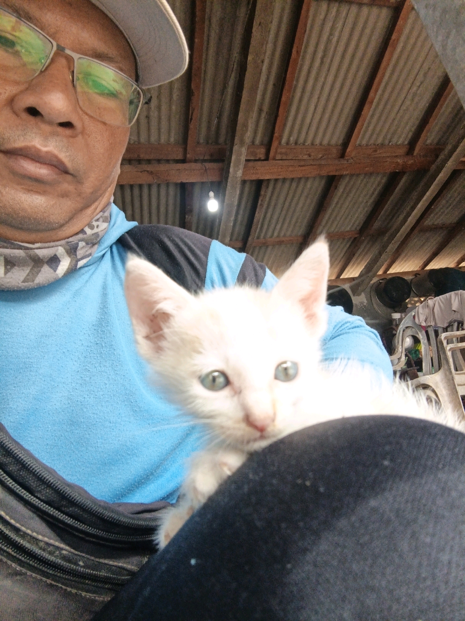 In Gedung Nyapah, Indonesia, a close-up selfie depicts an individual wearing glasses and a cap, holding a white kitten. The individual is dressed in a blue long-sleeved shirt with a patterned bandana around their neck. The kitten, with light green eyes, is nestled against the person's chest. The background reveals a corrugated metal roof supported by wooden beams, and a light bulb hangs from the ceiling. In the further background, various objects, including what appears to be a motorcycle and chairs, are visible.