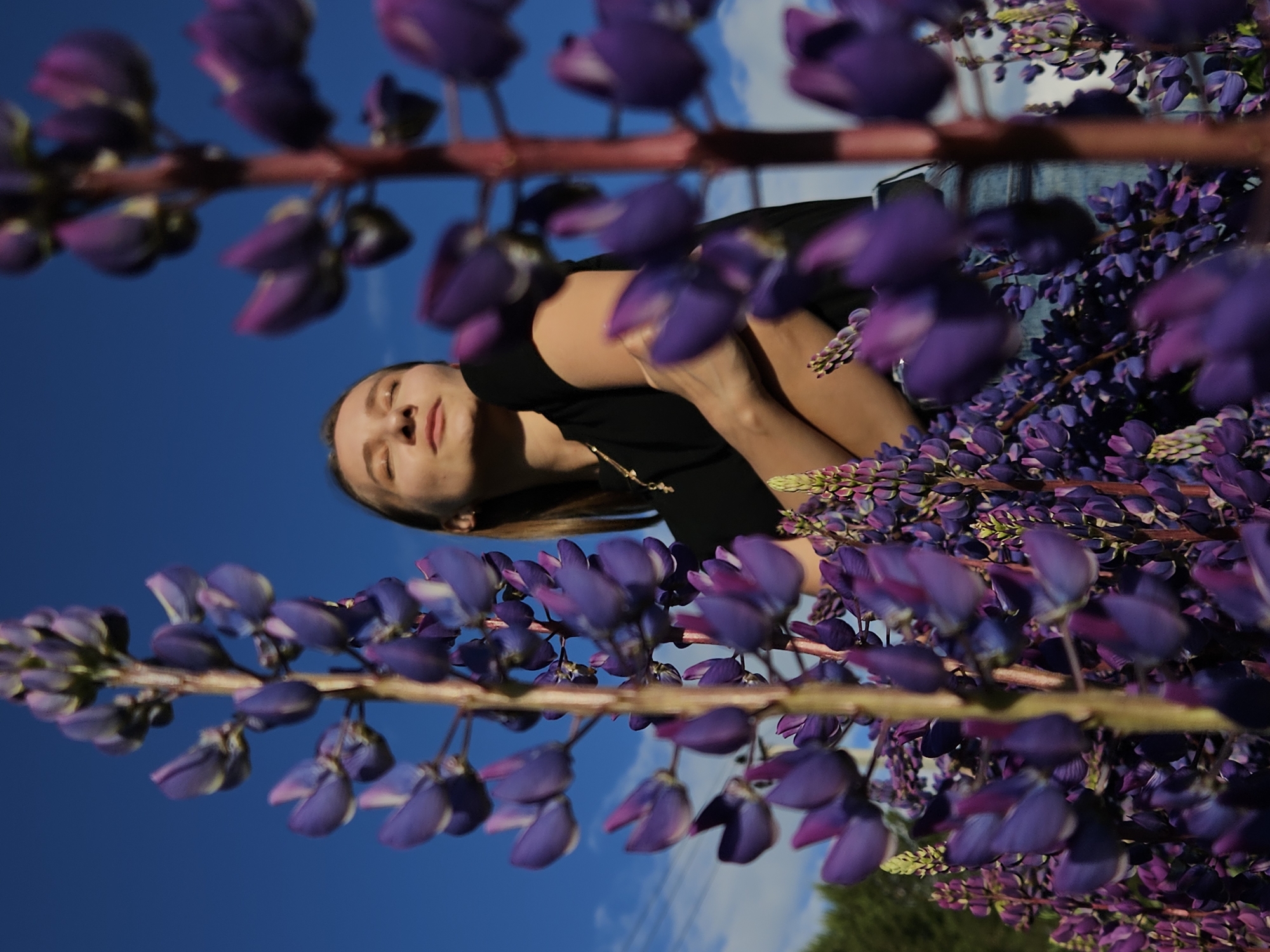 A young woman is captured in a serene moment, surrounded by a dense field of vibrant purple lupine flowers. She is positioned amidst the blossoms, with some stalks sharply in focus in the foreground, framing the shot, and others creating a soft, blurred background. The woman has light skin, long, straight, light brown hair, and is wearing a black top or dress, possibly with denim pants or a skirt. Her head is tilted slightly upwards, and her eyes are closed, conveying a sense of peace or enjoyment as she basks in the natural light. Her hands are gently held near her chest.
Above the flowers and the woman, a clear, brilliant blue sky dominates the upper portion of the image, with only a few wispy white clouds visible, indicating bright, sunny weather. The lighting suggests it is daytime, possibly late morning or afternoon, with ample natural light illuminating the scene without harsh shadows. The photograph appears to be taken from a low angle, looking up through the flowers at the woman and the sky. The overall mood is tranquil and connected with nature. The setting is likely an outdoor area in Chaikovsky, Russia, where such flower fields can be found. No visible text is present in the image.