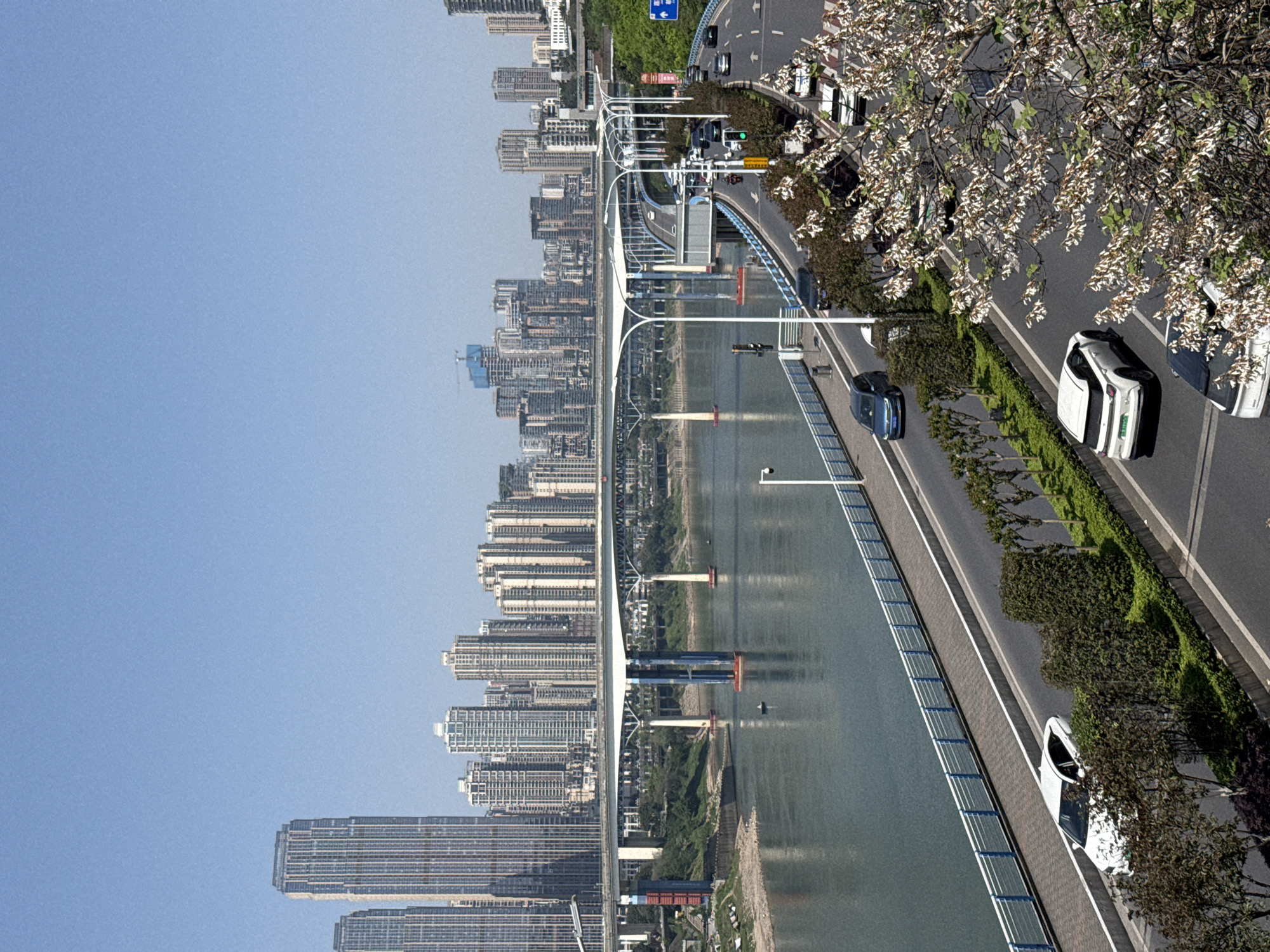 The image depicts a section of Yuzhong District in Chongqing, China. The Qiansimen Bridge spans the Jialing River, connecting the district to Jiangbei District. The cityscape is characterized by numerous high-rise residential and commercial buildings densely packed along the riverbanks. Traffic moves along the bridge and roadways, including several vehicles, such as white sedans. Mature trees line the roads and bridge, adding greenery to the urban landscape. The sky is clear, suggesting a sunny day.