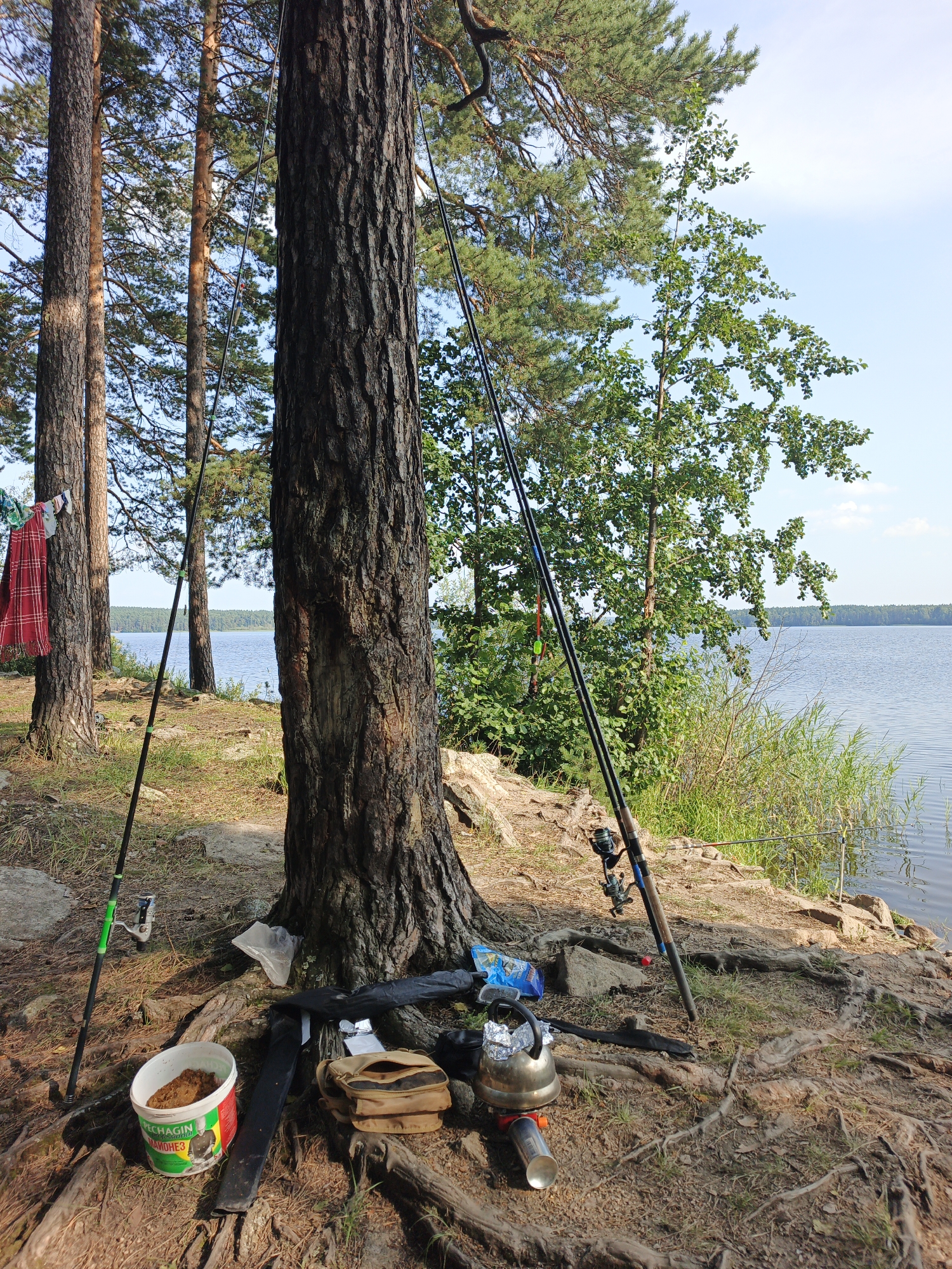 The image depicts a fishing setup on the shore of a lake in Sarafanovo, Russia. In the foreground, a large tree trunk is prominent, with several fishing rods propped against it. Scattered around the base of the tree are fishing supplies, including a bucket containing bait, a fishing rod bag, a small camping stove with a kettle, and a folded plaid fabric. A red and white checkered cloth is hanging from another tree to the left. The background reveals a serene lake with a distant treeline under a clear blue sky with scattered clouds. The ground is a mixture of soil, exposed tree roots, and scattered rocks, indicating a natural, undeveloped shoreline. There are no people visible in the scene.