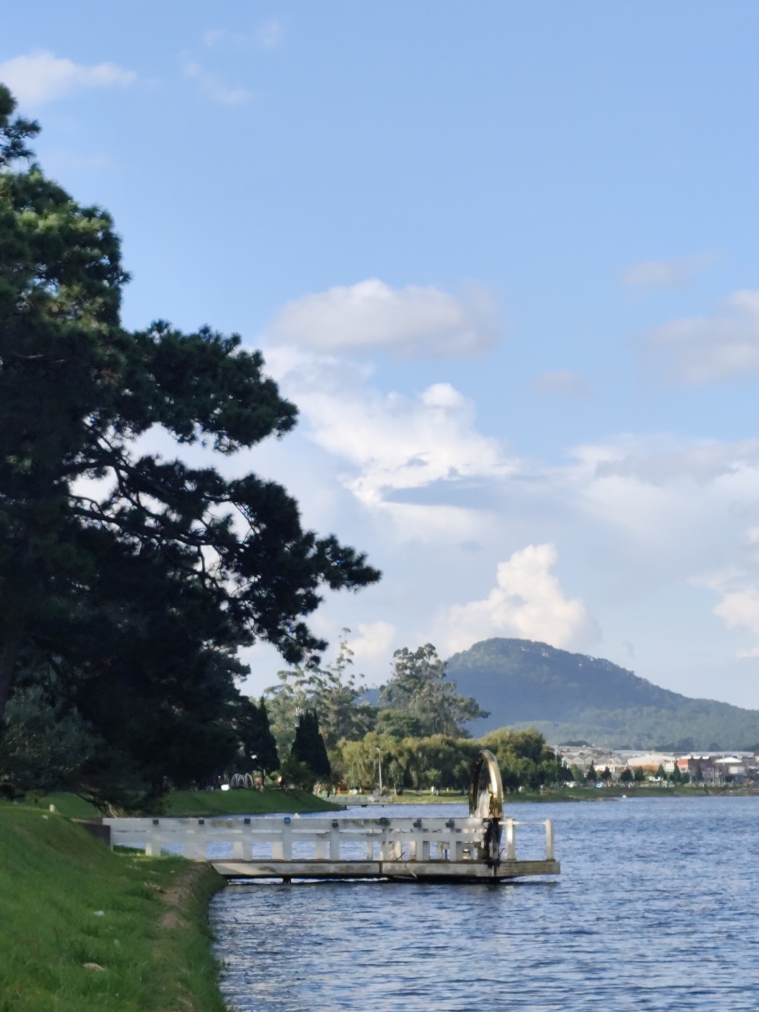 The image depicts a waterfront scene in Xuân Hương Lake, Đà Lạt, Vietnam. A white wooden pier with railings extends into the blue water. On the pier, a metallic structure, possibly a decorative wheel, is visible. The surrounding area features a grassy embankment on the left, with a large pine tree dominating the upper left portion of the frame. In the background, lush green trees and hills are visible, with buildings forming a townscape along the distant shoreline. The sky is blue with scattered white clouds. The overall impression is a tranquil natural setting within a city.