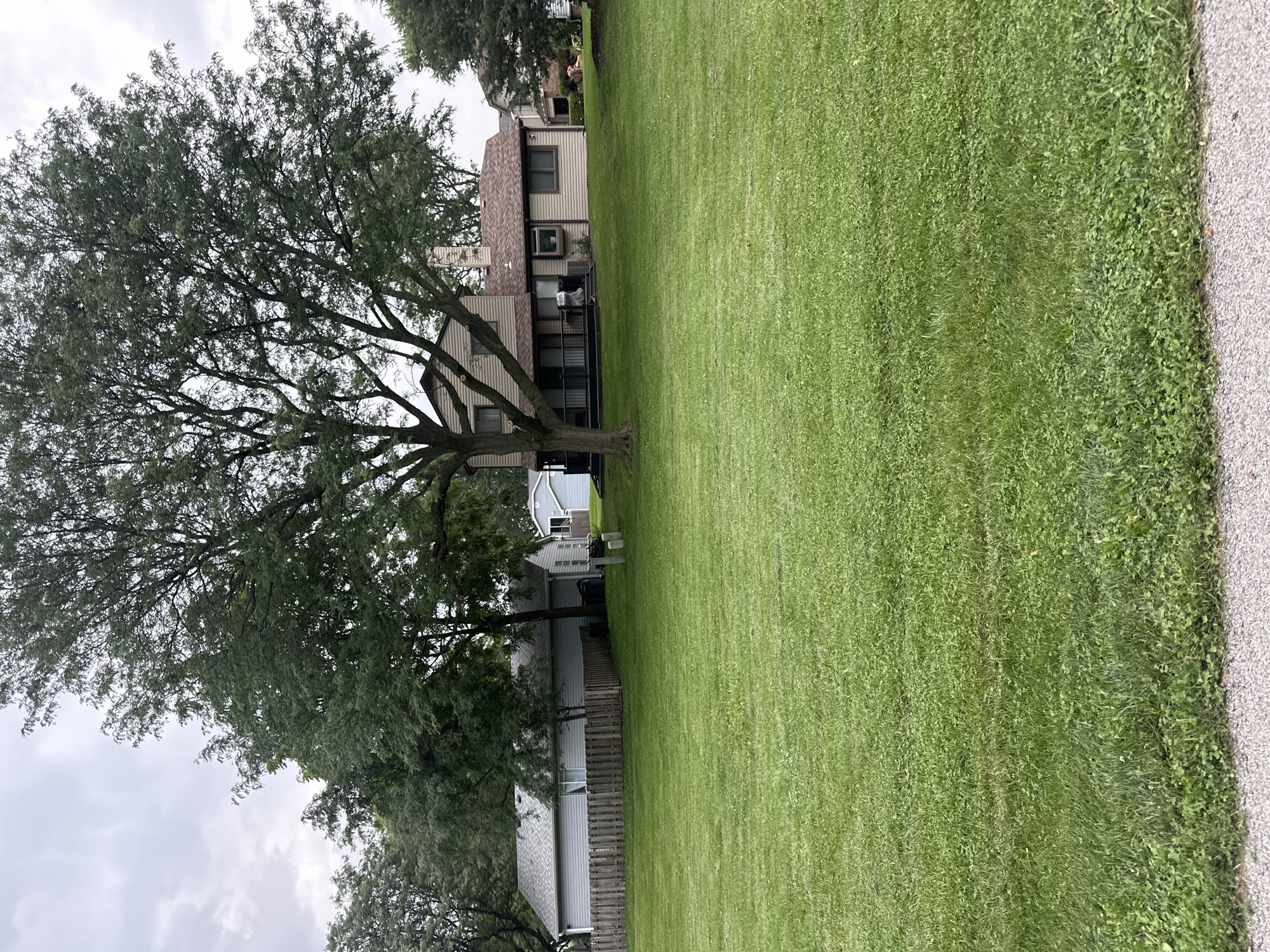 A backyard scene in Streamwood, Illinois, USA, features a well-maintained, green lawn in the foreground and middle ground. A large, mature tree with dense foliage stands prominently in the middle of the yard, partially obscuring a two-story house in the background. The house has light brown siding and a dark brown roof, with a chimney visible. A wooden fence encloses a section of the property on the left side, separating the yard from a neighboring property. Additional trees and a glimpse of another house can be seen in the distance, under a cloudy sky. The overall impression is that of a residential neighborhood on an overcast day.