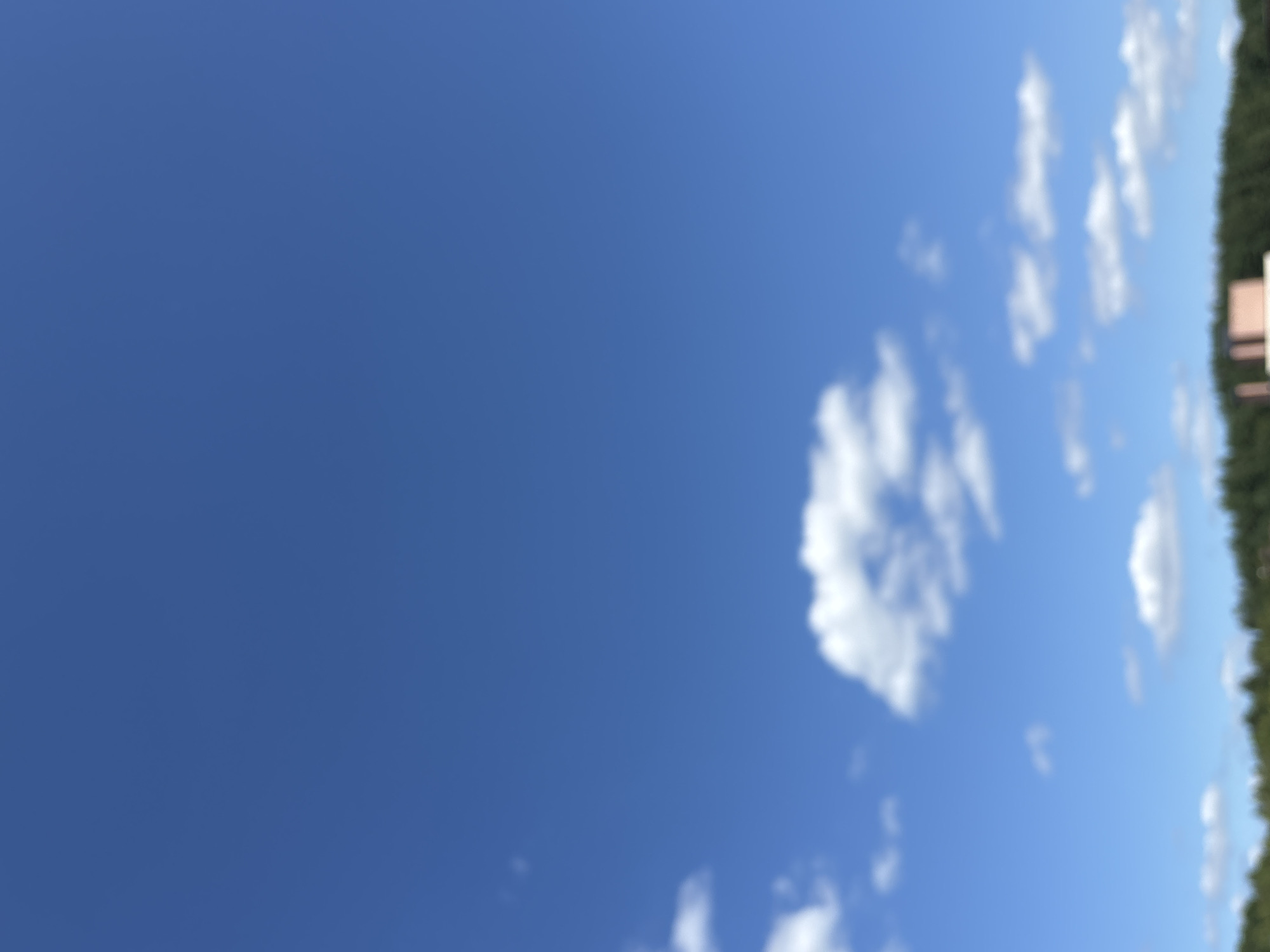 The image shows a bright blue sky with scattered white clouds. In the distance, a line of green trees is visible, and atop the trees, a portion of a pink building can be seen. The scene appears to be an outdoor environment, possibly a park or a suburban area. The image is slightly out of focus, giving it a soft, dreamy quality. The lighting suggests it is daytime, likely during the afternoon given the clear sky and sunlight. The location is Zvenigorod, Russia, a city known for its natural beauty and historical significance.