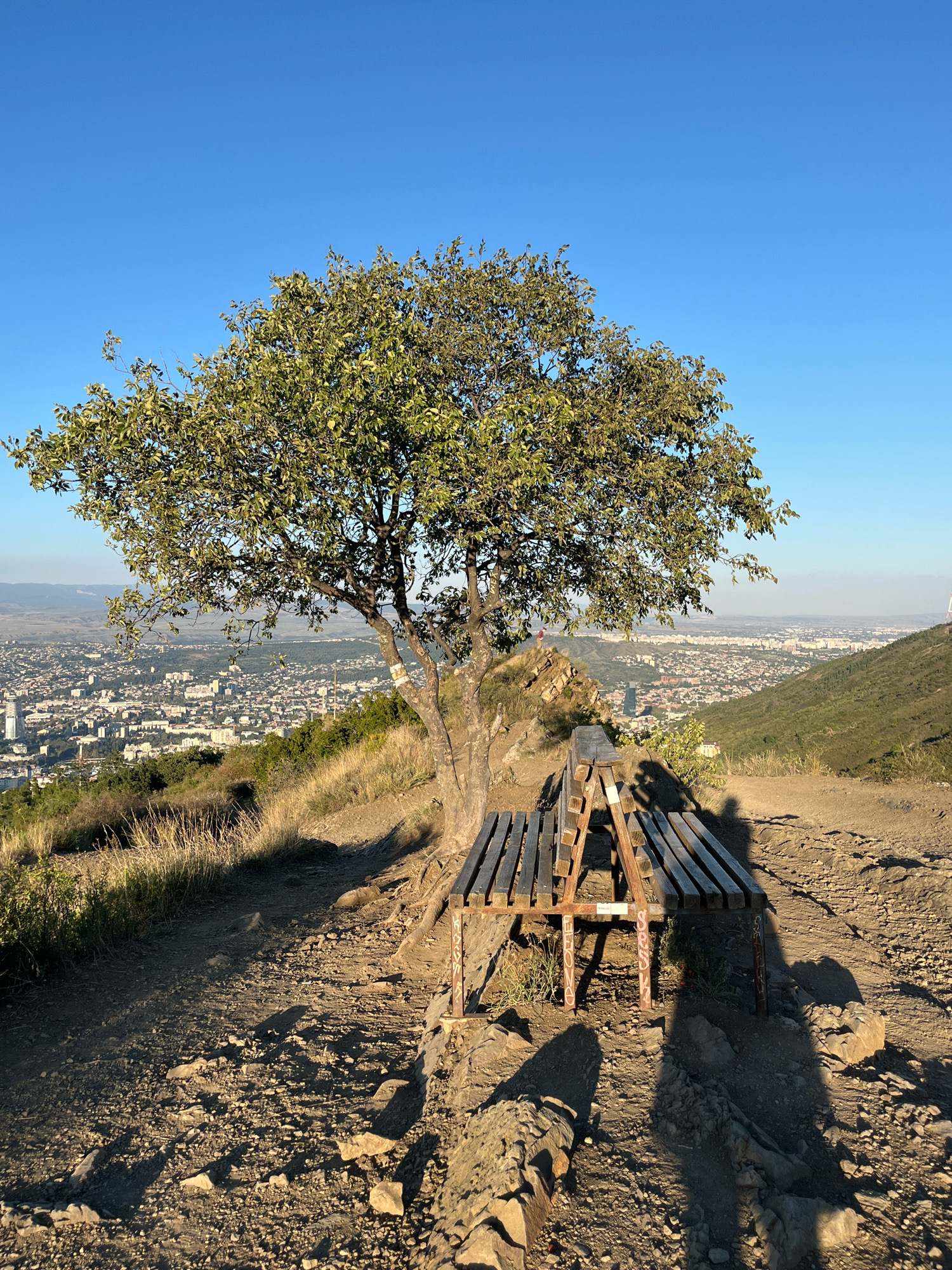 A wooden bench sits on a dirt path overlooking a city. A large tree with green leaves stands behind the bench. The city, identified as Tbilisi, Georgia, sprawls across a valley under a clear blue sky. Buildings of various sizes and colors are visible, along with a winding river or road. The terrain around the bench is rocky and dry, with sparse vegetation. The sunlight casts long shadows across the path and the bench.