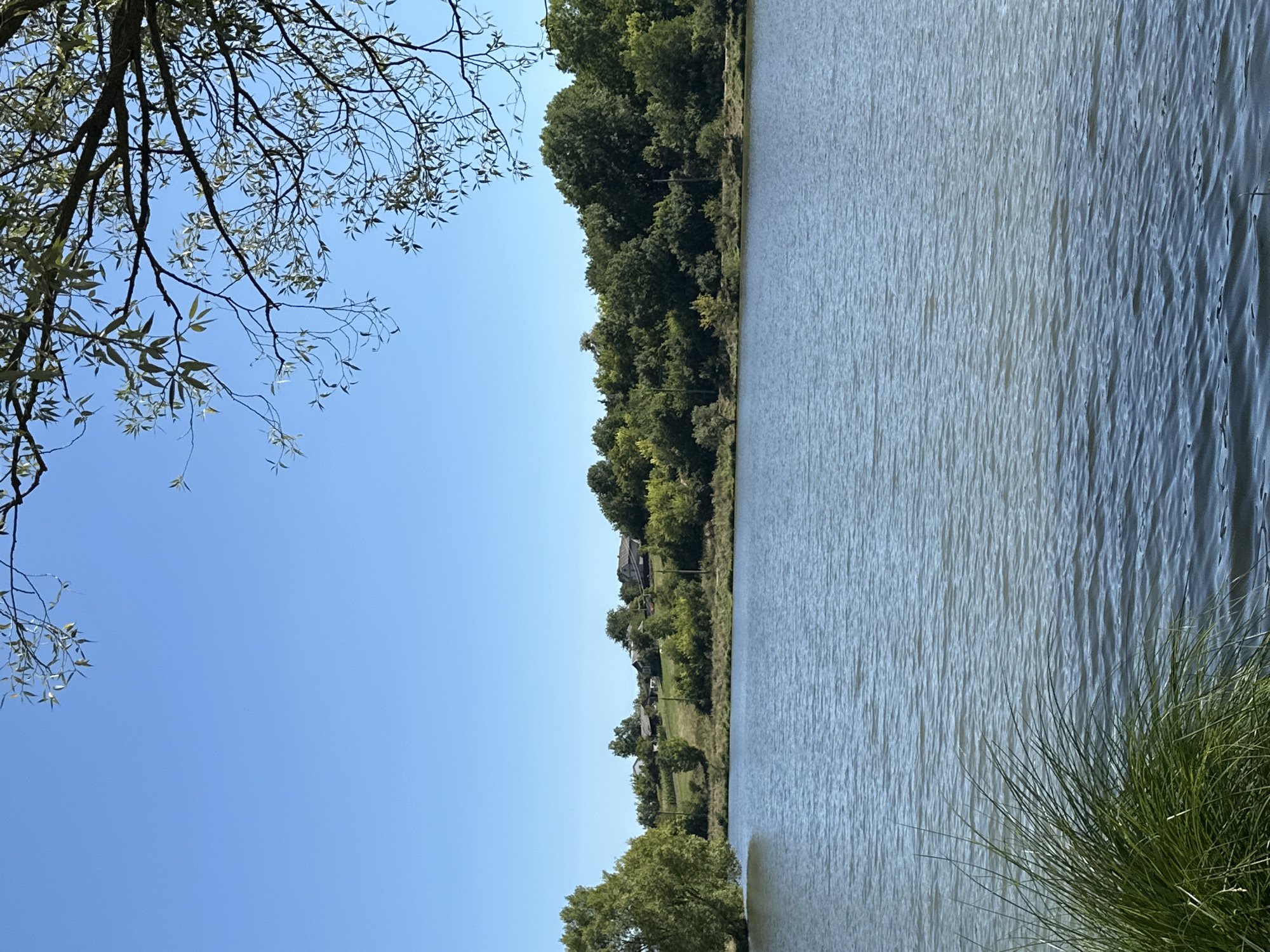 The image depicts a serene landscape scene with a calm body of water in the foreground. Tall green grass is visible on the left side of the frame, partially obscuring the water's edge. The water surface is slightly rippled, reflecting the clear blue sky above. In the middle ground, a tree-lined bank is visible, with a cluster of houses nestled on a gentle slope behind the trees. The houses appear to be modest, with visible rooftops and windows. The surrounding vegetation is lush and green, with various types of trees and bushes contributing to the natural beauty of the scene. The sky is a vibrant, cloudless blue. The scene is characteristic of a rural setting, possibly a village or a suburban area near a body of water.