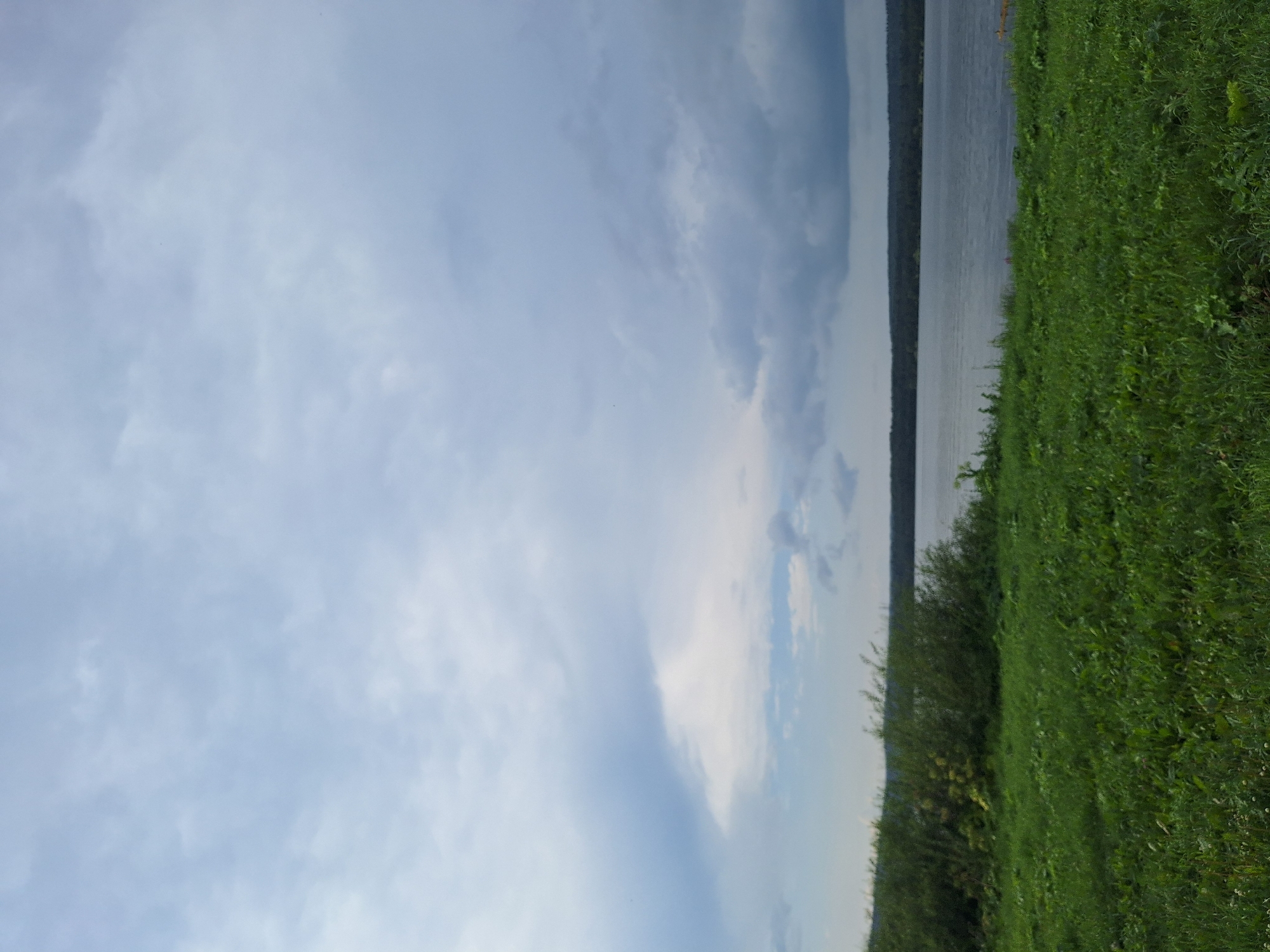 The image depicts a scenic view of a body of water, likely a river or lake, with a dense line of trees and vegetation forming the far bank. The foreground is dominated by a lush, green meadow, indicating a natural, undeveloped area. The sky is overcast with a mix of light and dark clouds, suggesting a diffused light condition. There are no visible people, structures, or human activity in the scene. The overall impression is one of tranquility and natural beauty. Without additional context, it is impossible to definitively place this image within the city of Atamanovka, Russia.