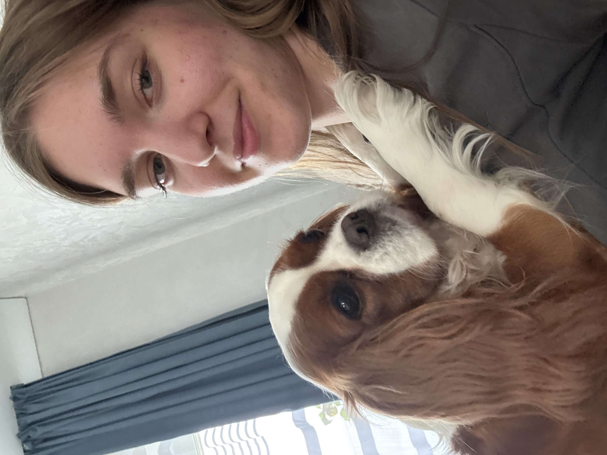 A young Caucasian female with light brown hair, light eyes, and fair skin is holding a Cavalier King Charles Spaniel. The dog is positioned in front of the female, with its head resting on her shoulder and its paw draped across her chest. The dog has brown and white markings. The female is wearing a dark grey shirt. The background consists of a blue curtain on the left and a textured white wall on the right. The setting appears to be indoors, possibly a room in a dwelling. The image is taken from a close-up perspective. There is no visible indication of the location being in the city of Прикамский, Russia.