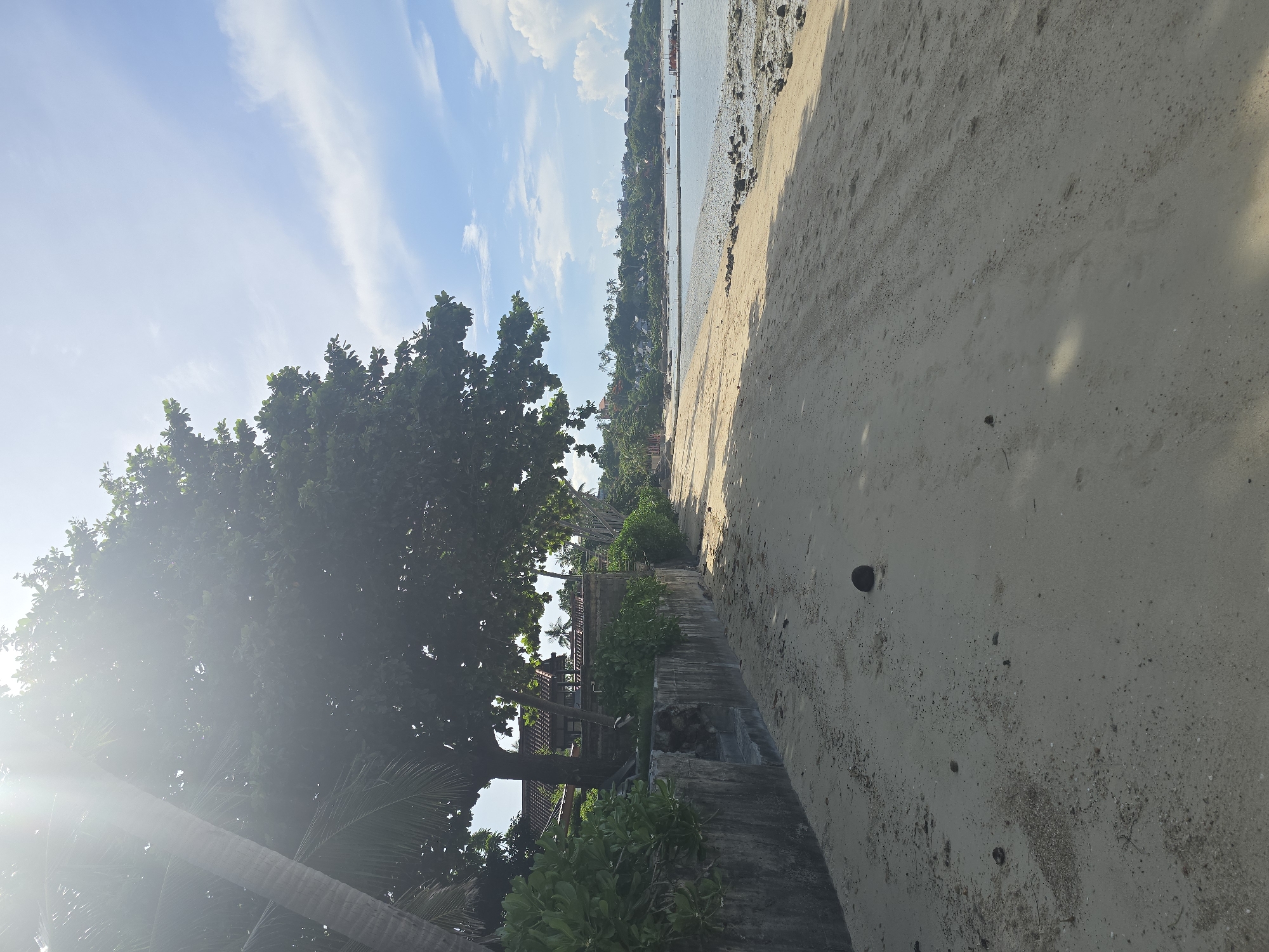 The image depicts a tropical beach scene in Baan Chaweng Noi, Thailand. In the foreground, a sandy beach stretches along the coastline, with a few scattered coconuts and debris visible on the sand. To the left, a concrete wall with some stone steps lines the edge of the beach, separating it from lush green vegetation and trees. A large tree with dense foliage dominates the left side of the frame, casting shadows on the sand and partially obscuring a building with a tiled roof in the background. Beyond the beach, the calm sea meets the horizon, with a few small boats anchored in the distance. The sky is a clear blue, with scattered white clouds and bright sunlight streaming in from the upper left, creating a lens flare effect. The overall scene conveys a serene and idyllic beach environment.