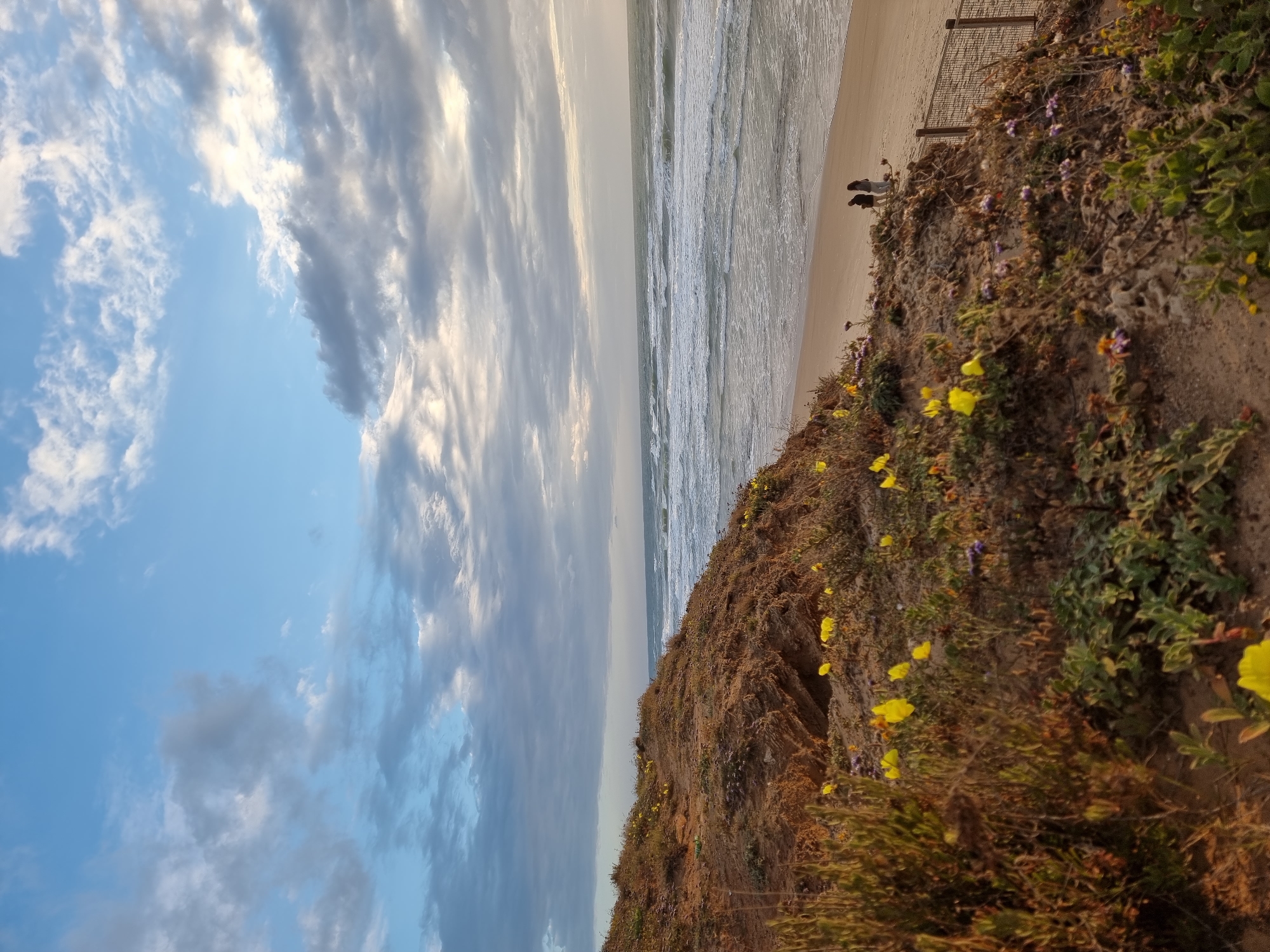 The image shows a coastal scene in Herzliya, Israel. A grassy, sandy cliff with yellow and purple wildflowers overlooks a sandy beach and the Mediterranean Sea. Two figures are standing on the beach. The sky is partly cloudy. A section of a chain-link fence is visible along the top of the cliff near the beach.