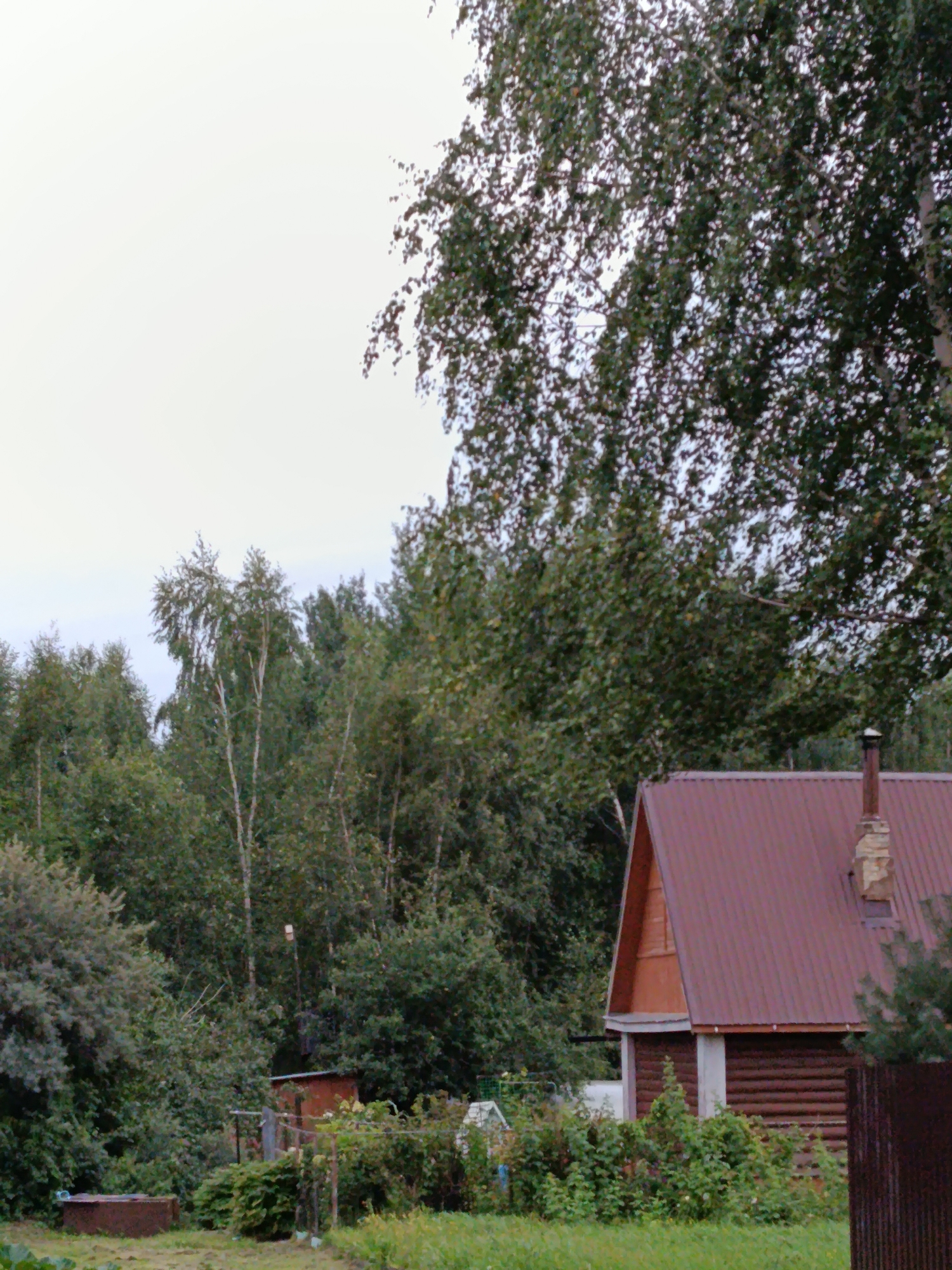 This is a medium-shot, exterior photograph taken on an overcast day, likely in the city of Vereya, Russia. The scene depicts a rural or semi-rural setting with a focus on a wooden house with a reddish-brown, corrugated metal roof. A brick chimney with visible stonework extends from the roof. To the left of the house, a cluster of trees with green foliage dominates the upper portion of the frame. The house itself is constructed of dark brown logs, with lighter-colored trim around the windows and eaves. In front of the house, there is a patch of green grass and various bushes and smaller trees. To the far left of the image, a rectangular, rusty metal object, possibly a trough or water container, is partially visible. Further to the left and in the background, more dense trees create a natural backdrop. The overall impression is one of a modest, possibly rustic, residential property surrounded by abundant vegetation.