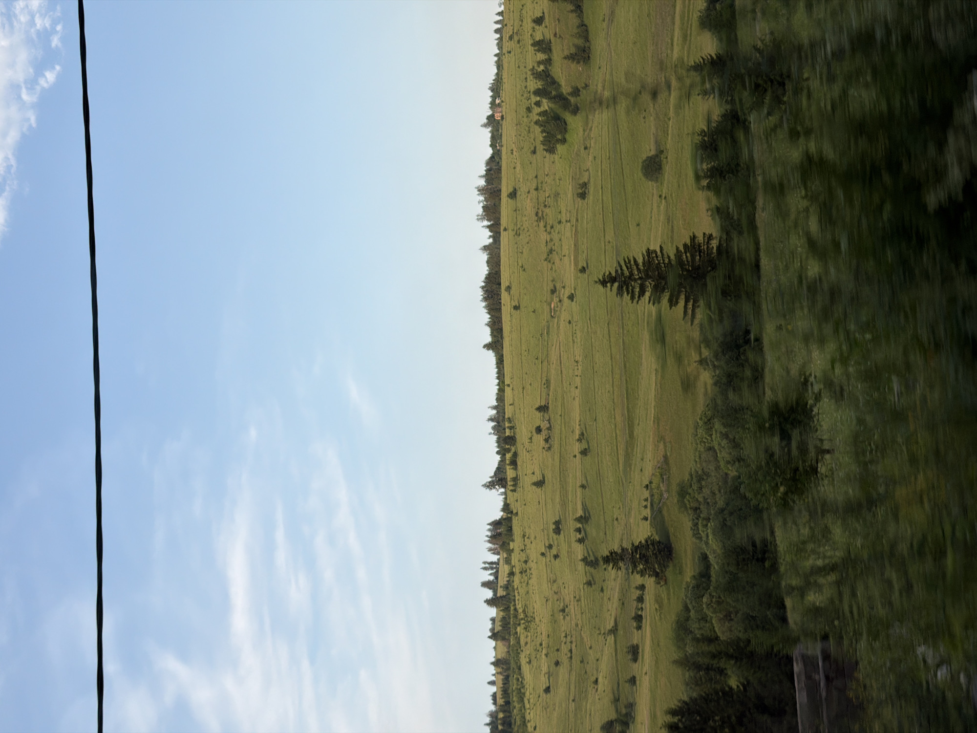 The image depicts a pastoral landscape under a clear blue sky dotted with wispy white clouds. A thick black wire runs vertically along the left edge of the frame, separating the sky from the expansive green hillside. The hillside is covered in a mix of grass and scattered trees, with darker green patches indicating denser tree cover. The terrain appears gently rolling, with some subtle undulations and faint lines that suggest pathways or agricultural divisions. A few small structures, possibly houses or farm buildings, are visible in the distance on the upper part of the hillside. The right side of the image shows a blurred section of dense, dark green foliage, likely a forest, suggesting a moving perspective, perhaps from a vehicle. The lighting indicates it is daytime, likely late afternoon or early evening due to the soft quality of the light. The scene evokes a sense of tranquility and natural beauty. There is no visible text in the image.