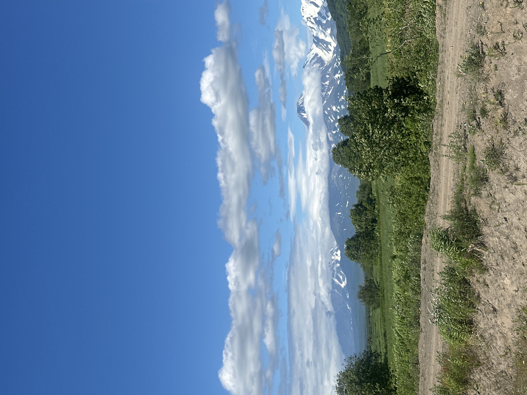 The image depicts a scenic landscape with a clear blue sky dotted with scattered white clouds. In the background, snow-capped mountains rise majestically, partially obscured by clouds and mist. The midground features lush green rolling hills and scattered trees. In the foreground, a dirt path winds through a field of tall green grass and vegetation. The overall scene conveys a sense of natural beauty and tranquility. This landscape is typical of the surroundings of Petropavlovsk-Kamchatsky, Russia, a city known for its stunning volcanic scenery and proximity to the Pacific Ocean.