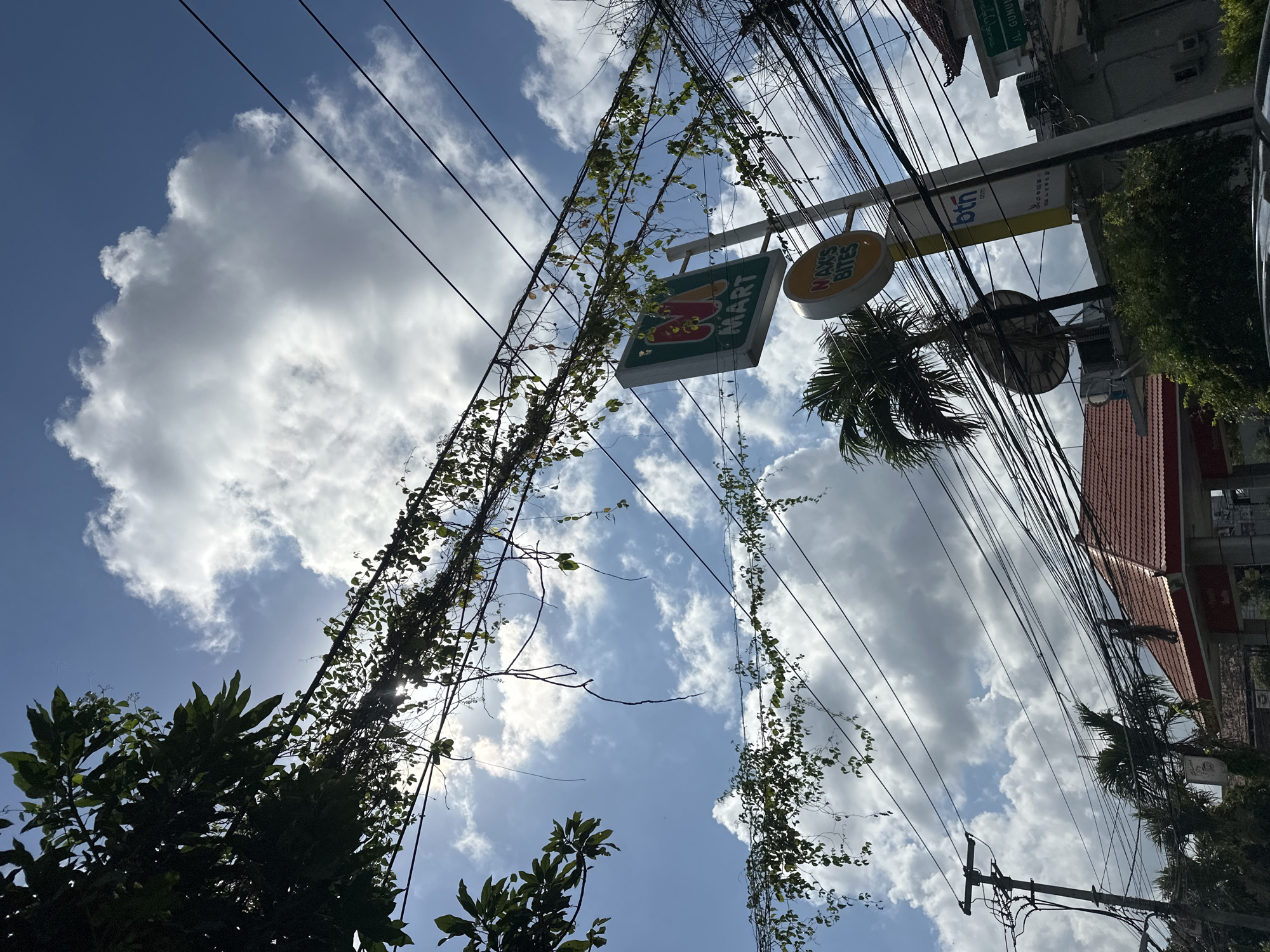 The image depicts a street scene in Denpasar, Indonesia, characterized by a tangle of overhead electrical wires and a clear blue sky with scattered clouds. In the foreground, lush green foliage from trees and vines drapes over the wires, creating a natural element amidst the urban infrastructure.
Prominently displayed are signs for "M MART" and "MAX'S BITES," suggesting a commercial area with convenience stores or food vendors. Below these, a yellow sign for "btn atm" indicates the presence of a bank ATM. A palm tree adds a tropical touch to the surroundings.
In the background, a building with a red-tiled roof is visible, possibly a shop or residential property, along with other structures and more vegetation. The overall impression is a typical street view in a warm climate, where nature intertwines with man-made structures. There are no people or animals visible in the frame. The lighting suggests it is daytime, with the sun partially obscured by clouds, casting soft light and shadows.