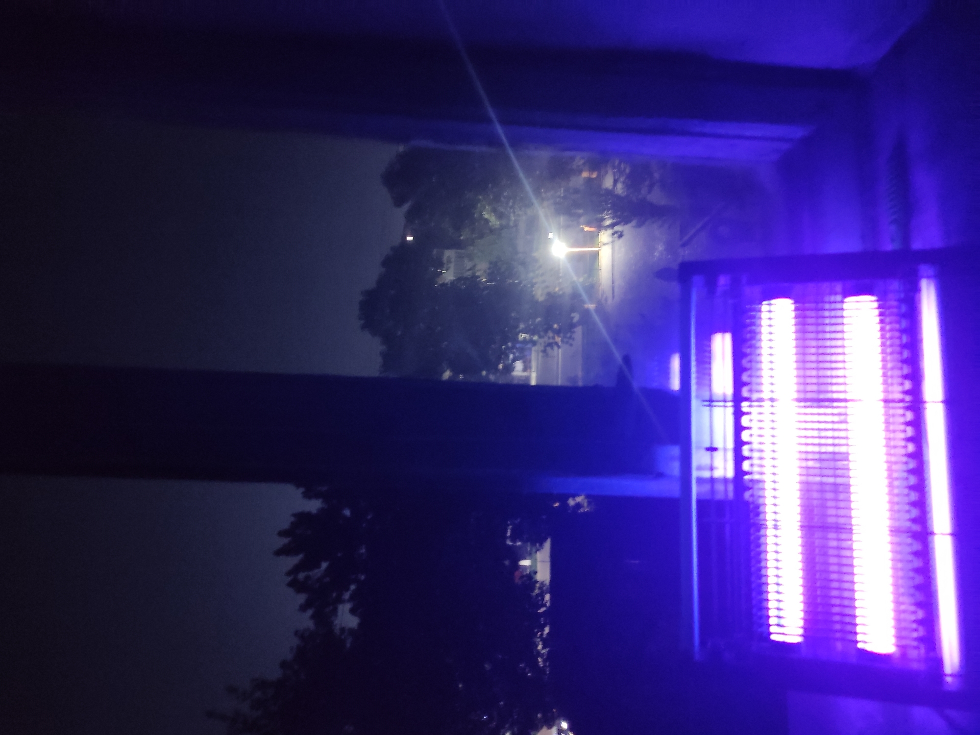 The image shows an outdoor scene at night, viewed through a dark frame that suggests it was taken from inside a building or under a covered area. The dominant subject is a brightly lit electric bug zapper, emitting a vibrant purple glow. Its heating elements are clearly visible, arranged in vertical columns.
Beyond the bug zapper, the scene opens up to a nighttime view. Trees with dark foliage are scattered across the landscape, some appearing close and others further in the distance. In the middle ground, a street light illuminates a road or path, casting a yellow-orange glow. Some indistinct structures or buildings are visible behind the trees, bathed in the ambient light. The sky is dark and hazy, typical of a night scene with artificial light sources.
The overall impression is one of a quiet, possibly humid evening, given the presence of a bug zapper. The light from the bug zapper and the street light creates a contrast between the immediate foreground and the slightly more distant environment. There is no visible text in the image. The perspective suggests the photo was taken from a slightly elevated position, looking out and slightly downwards.