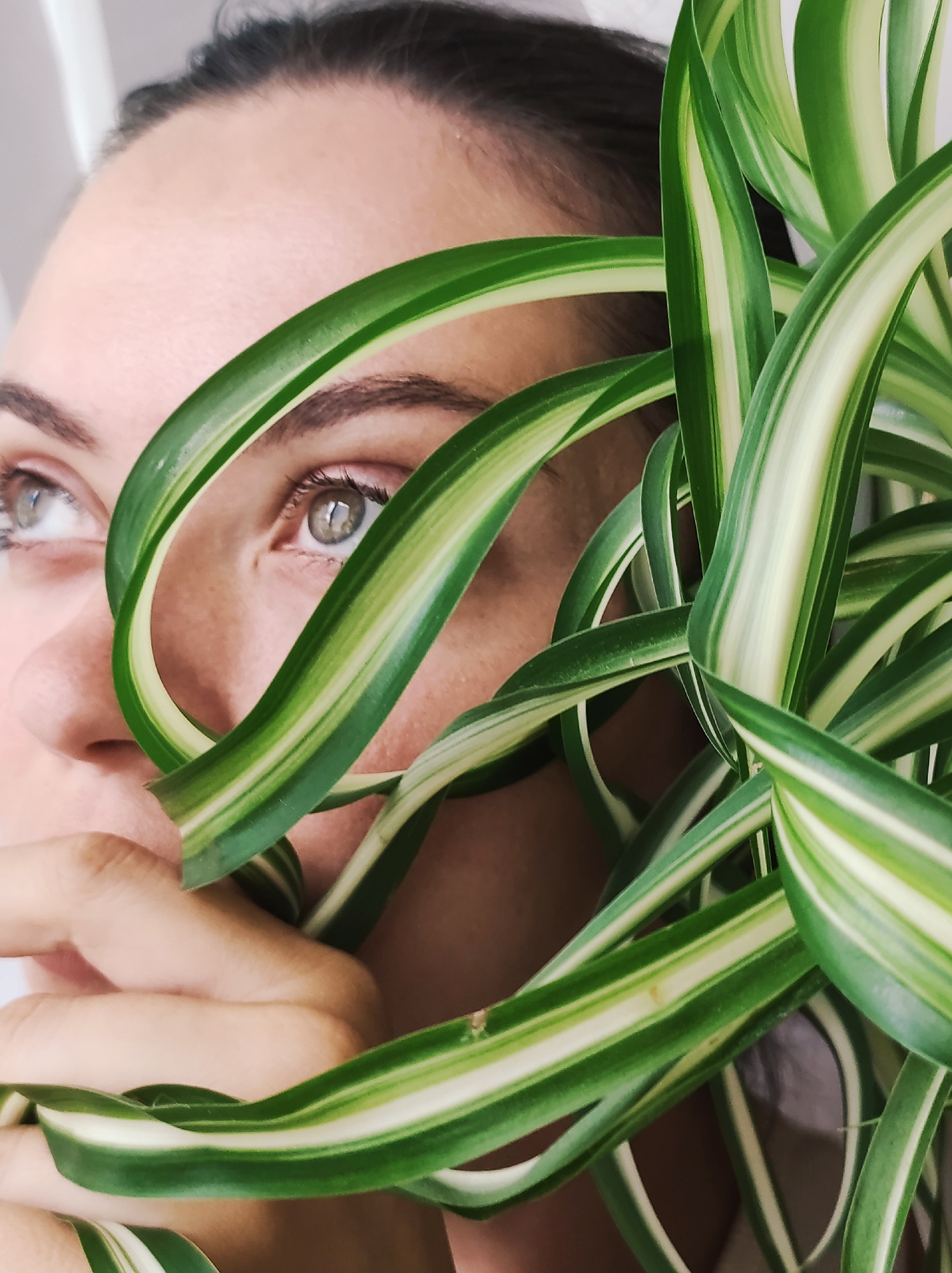 The image shows a close-up of a person's face, partially obscured by a spider plant. The person's eyes are visible, looking upwards and to the left. Their skin is fair, and they have dark hair and eyebrows. The spider plant has long, green leaves with white stripes. The background is out of focus and appears to be a light-colored wall. The location in Chaikovsky, Russia is not discernible from the image.
