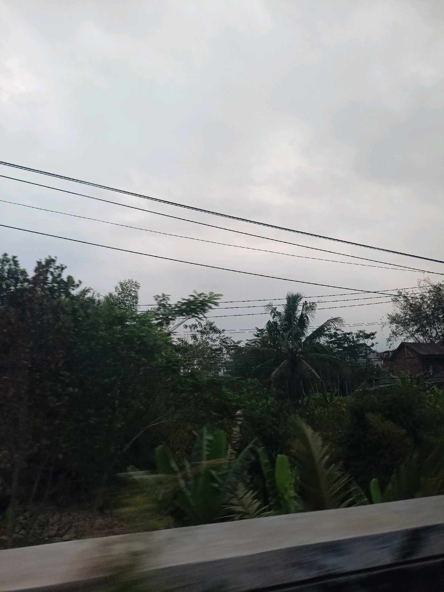 The image captures a view from a moving vehicle in the vicinity of Gandusari, Indonesia, likely on a cloudy day. The scene is dominated by a dense canopy of lush green foliage, including trees and possibly banana plants, suggesting a tropical or subtropical environment. Several dark power lines stretch horizontally across the upper portion of the frame, obscuring a portion of the overcast sky. In the background, a rustic, reddish-brown building with a pitched roof is partially visible through the trees, indicating a rural or semi-rural setting. The foreground features a blurred grey concrete barrier, characteristic of a road or elevated walkway, reinforcing the perspective of the image being taken from a moving vehicle. The overall impression is one of a natural landscape interrupted by human infrastructure.