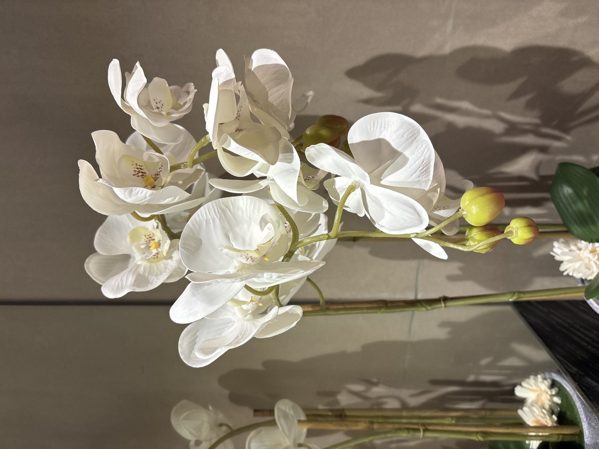 A close-up, vertical shot captures a cluster of artificial white orchids against a textured, taupe wall. The orchids are a prominent subject, with several blossoms in various stages of bloom, some unfurling their delicate petals, while others appear more tightly closed. The center of each open bloom features a yellow hue and reddish-brown speckles. Below the flowers, several green buds are visible, some tinged with red. The stems are thin and green, supporting the floral display. In the background, to the left, other artificial plants are partially visible, appearing to be bamboo-like stalks in pots. The lighting casts soft shadows of the orchids onto the wall, creating an artistic effect. The image was taken in Dubai, United Arab Emirates.