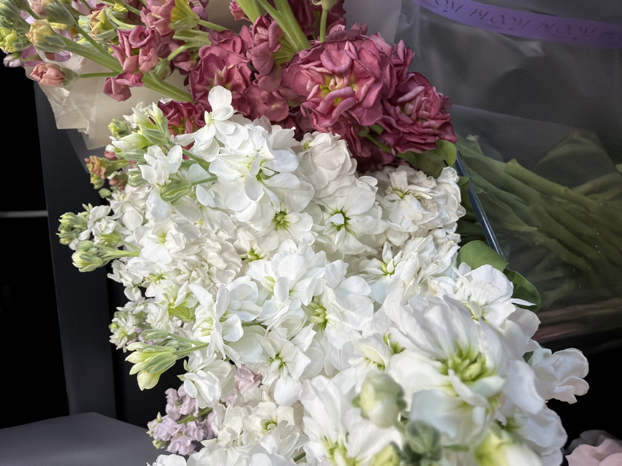 This media file is a close-up, eye-level shot of a bouquet of flowers. The subjects are primarily the flowers themselves, which are a mix of white and deep pink/burgundy. The white flowers are abundant and appear to be in full bloom, with multiple petals and a soft, ruffled appearance. The pink flowers are clustered together and also appear to be in bloom, with a richer, more velvety texture. Interspersed among the flowers are green stems and some unopened buds that range from pale pink to light green.
The flowers are arranged in a bouquet and are partially wrapped in clear plastic or cellophane, which is visible in the upper right portion of the image. A purple ribbon with white lettering is visible across the top of the plastic wrap. The lettering is difficult to read clearly due to the focus and the material it's on, but appears to be a brand name or flower shop's slogan, possibly reading "BLOOM BLOOM" or similar. The background is dark and out of focus, suggesting the image was taken indoors with artificial lighting, or possibly at night. There are no people visible in the image. The focus is entirely on the floral arrangement, highlighting its textures and colors. The overall impression is one of freshness and beauty, likely a gift or a display for an event. The lighting is soft, emphasizing the delicate nature of the petals.