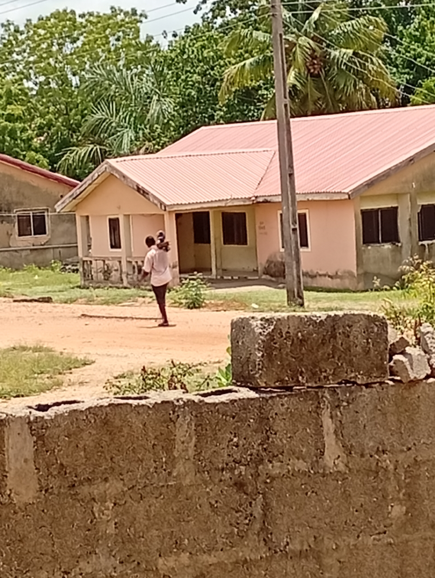 The image depicts an outdoor scene in Adankolo, Nigeria, featuring a person carrying a child on their back. The person is wearing a light-colored shirt and dark pants, walking across a dirt path or unpaved area. The child is positioned piggyback style on the adult's back.
In the background, there are several single-story houses with light-colored walls, possibly light pink or beige, and distinctive red corrugated metal roofs. One house to the left appears to be a similar style but with a grey wall and darker windows. Lush green trees, including a prominent palm tree laden with coconuts, dominate the upper part of the background, suggesting a tropical or subtropical environment. A wooden utility pole stands vertically in the midground, near the houses.
The foreground is occupied by a rough, textured concrete block wall, with additional loose concrete blocks placed on top of it to the right. The ground is primarily dirt, with patches of green grass and small plants.
The scene appears to be taking place during the daytime, under bright and clear weather conditions, indicated by the even lighting and lack of strong shadows. There is no visible text in the image.
