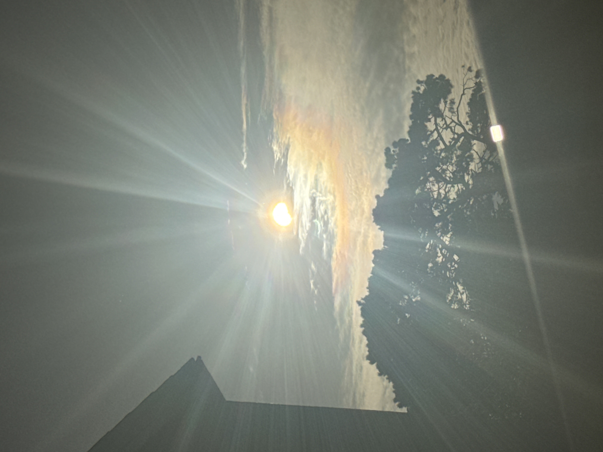 The image shows a bright sun with sunbeams radiating outward, creating a lens flare effect. The sun is partially obscured by clouds, and a faint rainbow-like halo is visible around it. In the foreground, the silhouette of a tree with intricate branches is visible against the bright sky. To the left, a dark structure, possibly a building, with a sloped roofline is partially visible. The overall scene is illuminated by the intense sunlight, casting a soft glow on the clouds and the environment. The location is not specified in the image, therefore it cannot be determined to be in Waterford, Ireland.