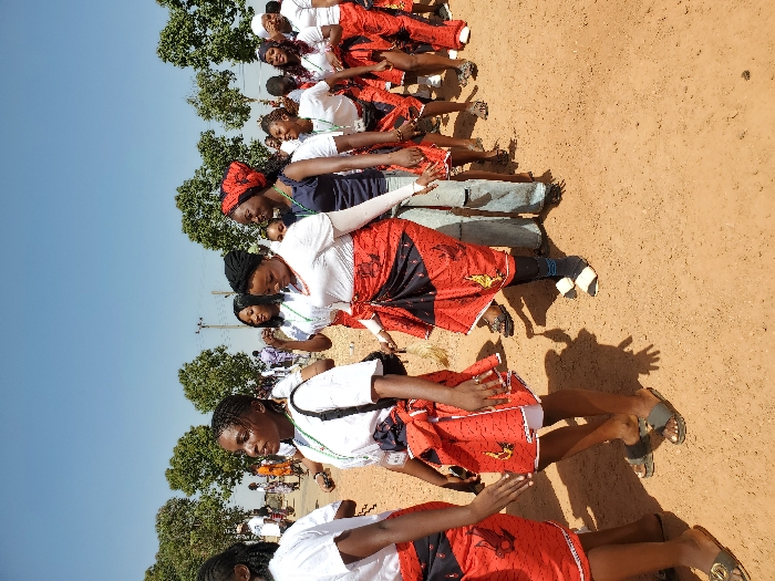 An outdoor scene in Bar Gada, Nigeria, depicts a procession of approximately 15-20 individuals, primarily young adult females, moving from left to right along a reddish-brown dirt path. The sky overhead is clear and light blue, indicating daylight. Numerous green-leafed trees line the background.
The participants are mostly attired in white short-sleeved tops and red wraps or skirts patterned with black and yellow/gold motifs, potentially depicting stylized birds. Several individuals wear green lanyards or ribbons around their necks. Footwear observed includes various flip-flops and sandals. One female near the center wears light blue ripped jeans underneath her red wrap, paired with black and white open-toed shoes. Another woman wears a dark blue top and a red patterned headwrap. Distinct shadows are cast on the ground, indicating direct sunlight. In the background, a utility pole with wires is visible, and additional people are present, suggesting a larger gathering. The overall appearance is that of a coordinated public event or cultural procession.