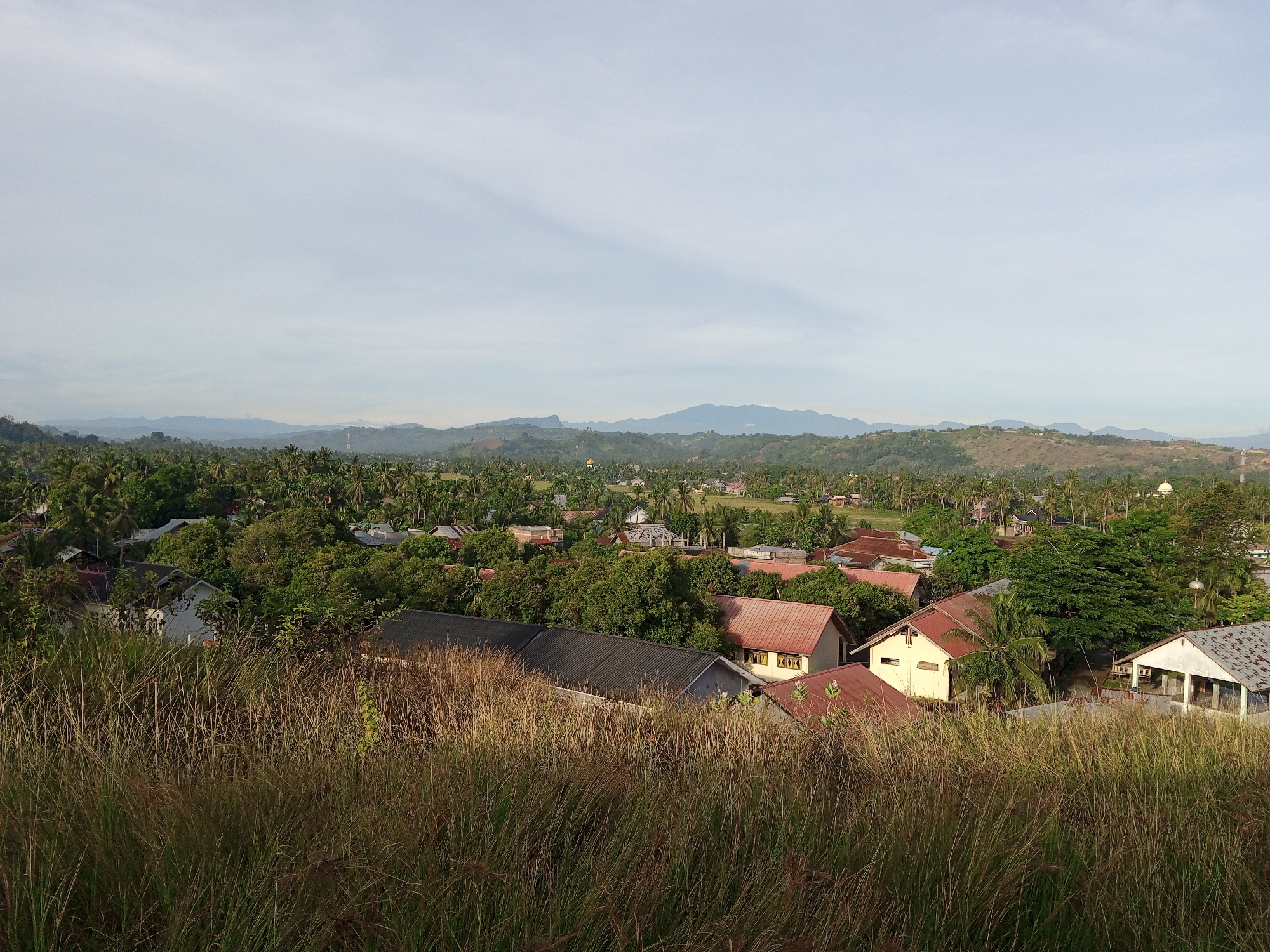 This is a landscape photograph taken from a slightly elevated position, overlooking a rural residential area. In the foreground, tall, dry grasses dominate, their stalks catching the light. Beyond the grass, a cluster of houses with various roof types, including red tile and corrugated metal, are visible. These houses are nestled amongst lush green trees, primarily palm trees, suggesting a tropical or subtropical climate. In the midground, more houses and trees form a densely populated village. The background reveals rolling hills and mountains, possibly a volcanic chain, under a pale, overcast sky with subtle cloud formations. A few scattered structures and possibly a distant radio tower can be discerned on the hills. The overall impression is of a peaceful, verdant, and sparsely populated rural settlement, likely in a region with abundant vegetation and hilly terrain. The location is identified as the city of Uruekanoe, Indonesia. There are no people or discernible actions depicted in the image.