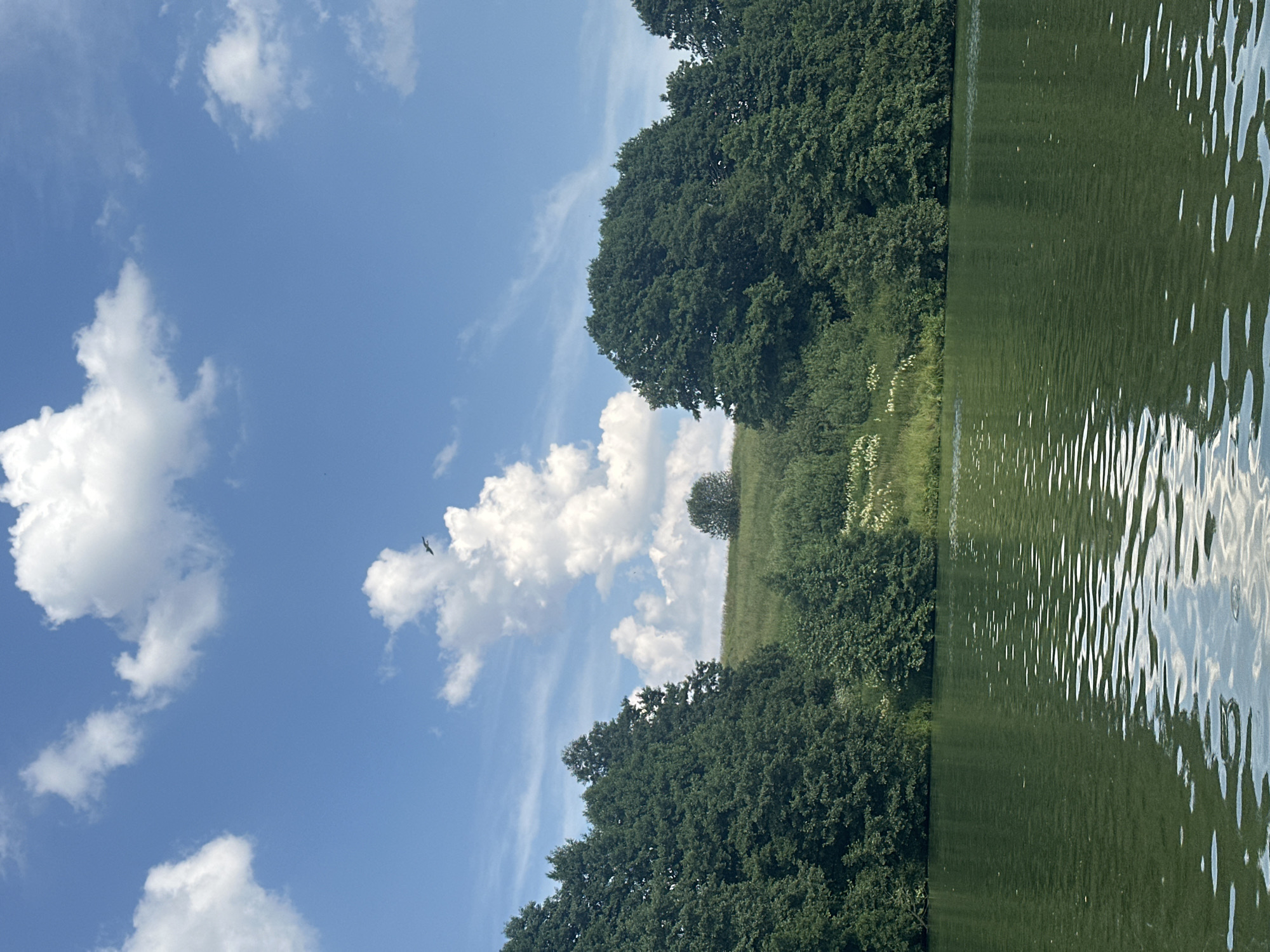 An aerial view captures a serene natural landscape with a body of water in the foreground. A lush green shoreline with dense trees borders the water, extending into a rolling grassy hill in the background. A few scattered trees dot the hillside, and a distinct cluster of white clouds hangs in the bright blue sky above, with a small bird or aircraft visible against the clouds. The water reflects the sky and surrounding greenery with ripples creating a textured surface. The scene appears to be a tranquil day in the countryside, possibly in or near the village of Molokovo, Russia, given the rustic and verdant environment.
