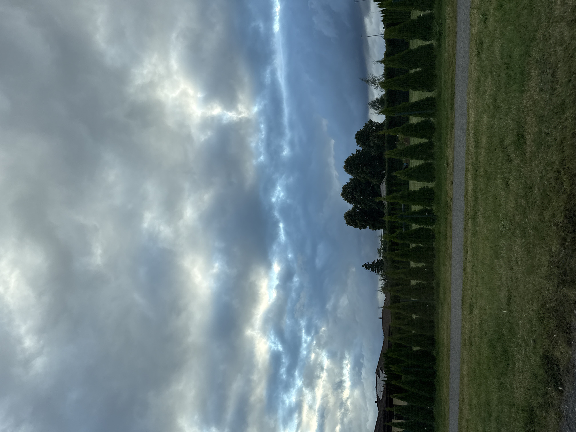 The image shows a cloudy sky over a row of coniferous trees bordering a residential area in Järveküla, Estonia. The sky is filled with dramatic, gray clouds with patches of lighter sky visible, suggesting a transition in weather. Below the sky, a line of neatly trimmed evergreen trees forms a hedge. Behind the trees, residential buildings with tiled roofs are visible. A gravel path runs in front of the trees, separating them from a grassy area in the foreground. The scene is devoid of any people or explicit actions. The overall impression is one of a quiet, suburban landscape under a moody sky.