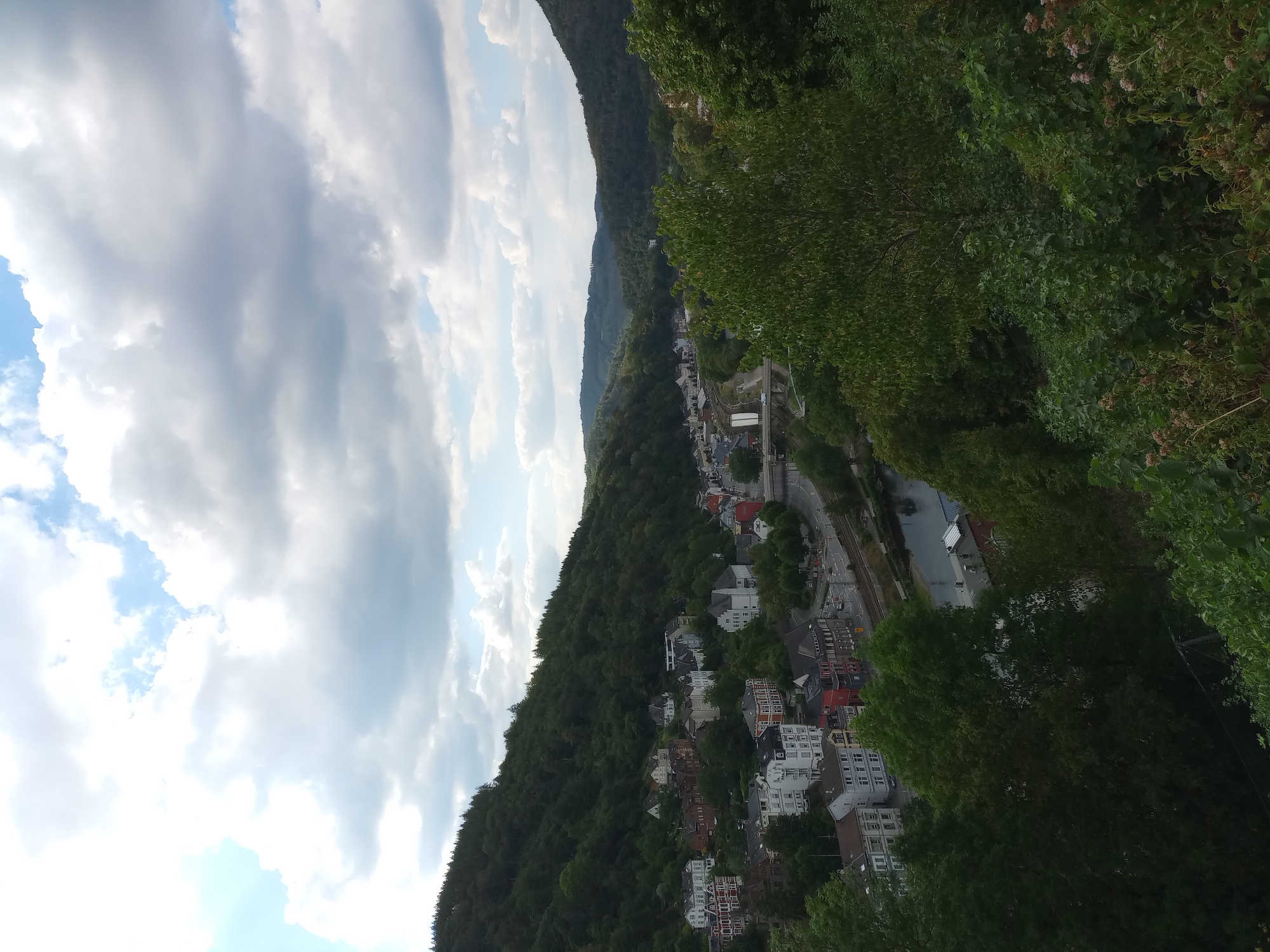 This is a high-angle, full-shot photograph capturing a scenic view of the town of Altena, Germany, nestled within a valley. The sky is filled with a dramatic display of clouds, with patches of blue sky peeking through. The foreground is dominated by lush green trees and foliage, with some smaller flowering plants visible at the bottom right.
In the mid-ground, the town of Altena unfolds along a river. Numerous buildings, characterized by their distinct architectural styles and varying colors, are densely packed along the riverbanks and climbing up the sides of the steep, tree-covered hills. Red-tiled roofs are a common feature. A road runs parallel to the river, with some vehicles visible, suggesting ongoing activity. A railway line is also present next to the road, and a bridge crosses the river.
The background features rolling, heavily forested hills that create a natural, verdant frame for the town. The overall impression is one of a picturesque town integrated harmoniously with its natural surroundings. There are no discernible people in the frame.