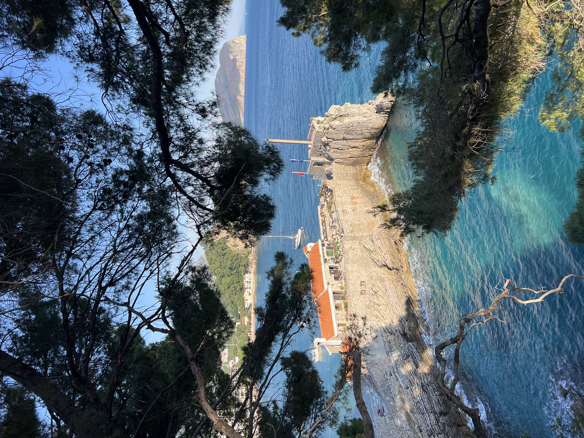 The image shows a view of Petrovac na Moru, Montenegro, framed by pine trees. The perspective is from an elevated position looking down at the coastline.
Visible elements include:
* The Adriatic Sea, with various shades of blue.
* A peninsula with a building that appears to be a hotel or resort with an orange tiled roof.
* A rocky coastline with waves.
* In the distance, a large rock island.
* Foliage of the pine trees framing the image.
* A jetty and a flagpole with flags.
* Boats on the water.