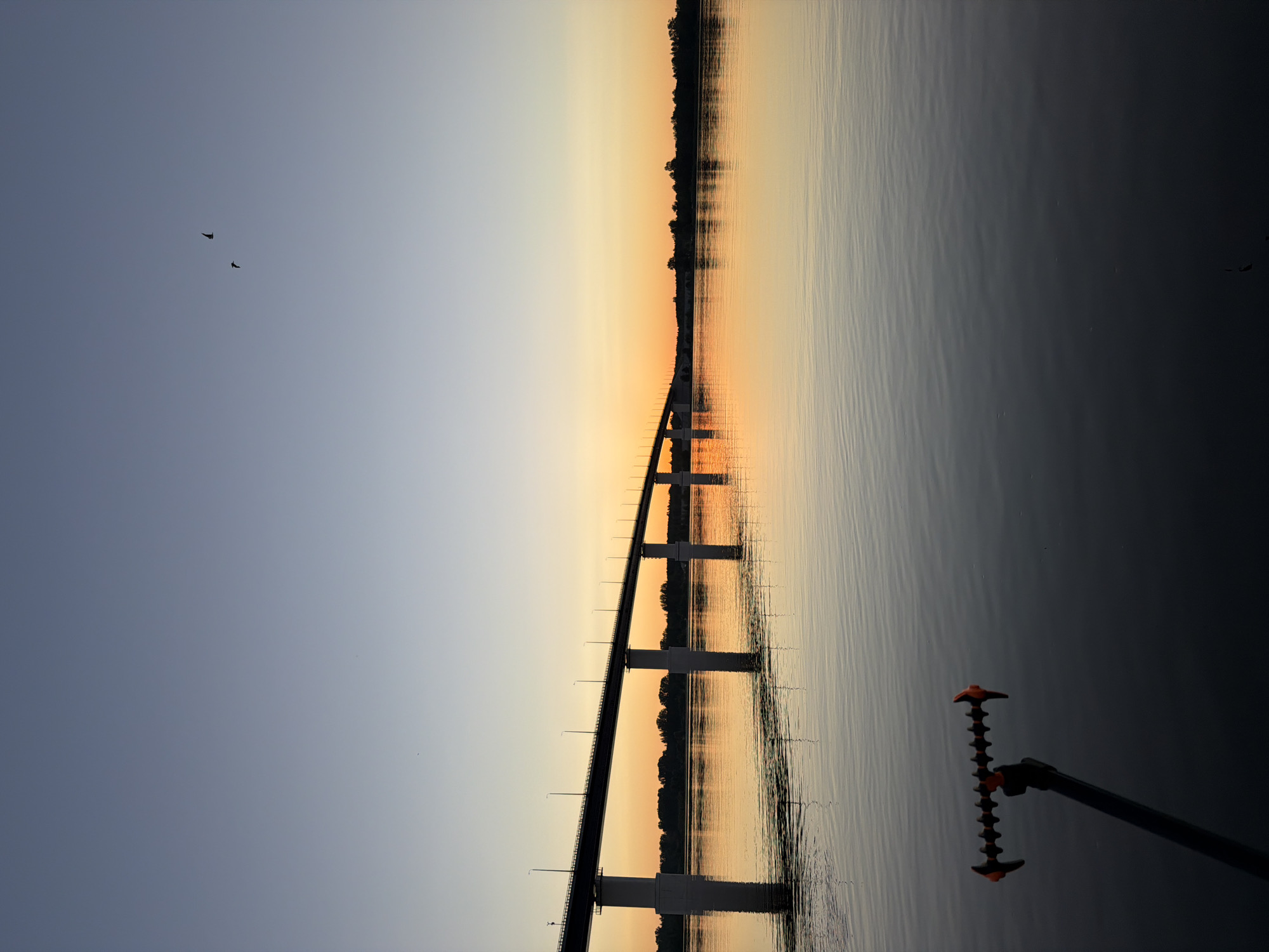 A photograph captures a sunset over a wide river with a bridge in the distance. The sky transitions from a pale blue at the top to a warm orange near the horizon. Two silhouetted birds are visible in the sky. The river's surface is calm, reflecting the colors of the sunset and the bridge. The bridge, supported by concrete piers, spans across the river. The shoreline is lined with trees. In the foreground, a fishing rod holder with orange accents is partially submerged in the water. The scene is static, with no visible human activity. The location is identified as the city of Tarasovo, Russia.