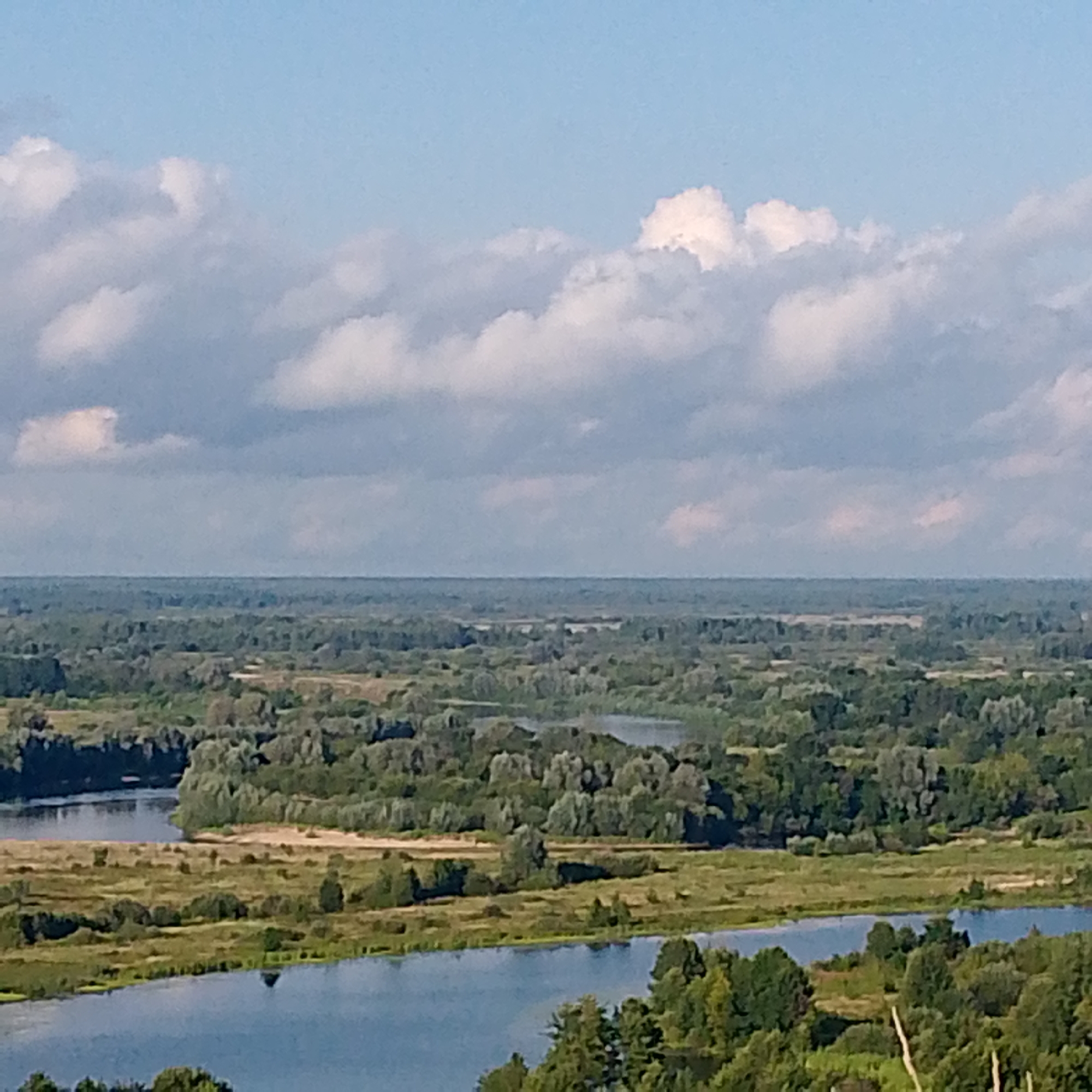 An aerial view shows a wide, meandering river flowing through a lush green landscape of trees and meadows. The river, which appears to be the Klyazma River in Vyazniki, Russia, is a prominent feature, with its blue water reflecting the sky. The surrounding terrain is characterized by dense forests, interspersed with patches of lighter green fields and some areas of dry, golden grass. The horizon is marked by a distant line of trees and a soft, blue sky dotted with fluffy white clouds. The overall impression is one of a serene and verdant natural setting.