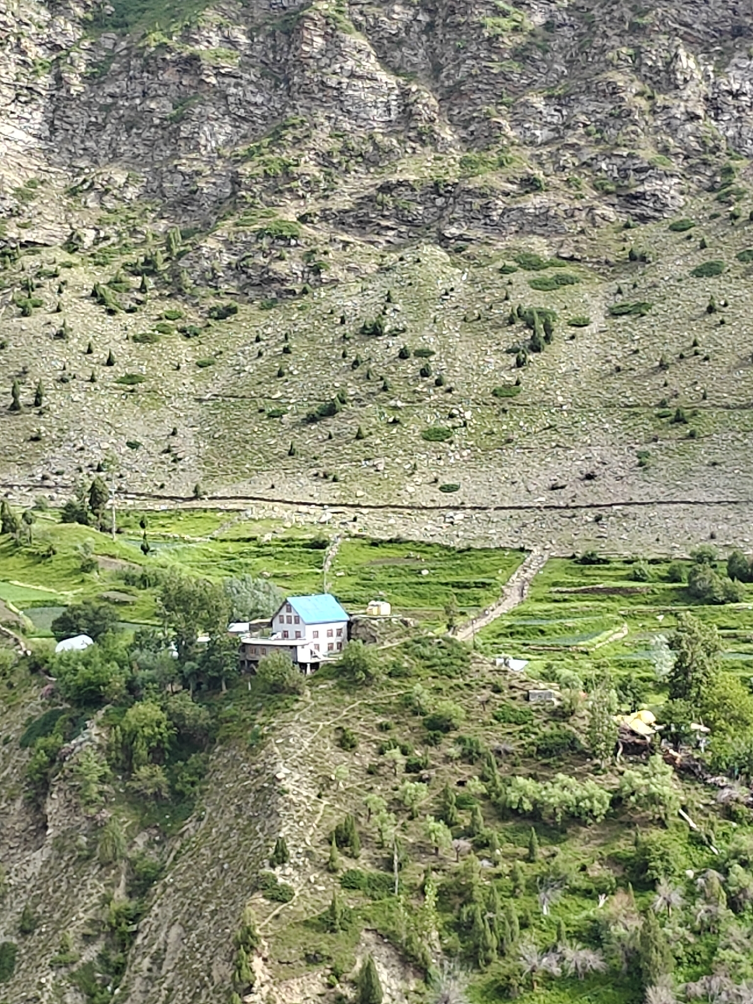 The image shows a mountainous landscape in the city of Kirting, India, with a building situated on a terraced hillside. The building is a multi-story structure with a light blue roof, white walls, and visible windows. It appears to be a residential or commercial building. The surrounding environment is characterized by steep, rocky slopes covered with sparse vegetation, including trees and shrubs. Below the building, there are well-defined agricultural terraces, likely used for farming, with vibrant green crops. A winding path is visible, leading up to the building and through the terraces. The overall scene depicts a rural or semi-rural setting within a mountainous region, highlighting the human adaptation to the challenging terrain through terraced agriculture and construction.