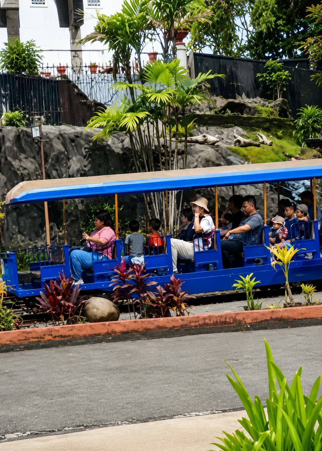 A blue open-air train with a tan roof carries passengers through a lush, tropical environment. The train has several carriages with blue railings and wooden seats. A woman in a pink shirt and blue pants sits in the front carriage, looking forward. Behind her, a boy in a gray shirt and another in an orange shirt are seated. A woman wearing a wide-brimmed hat and a white shirt with a red pattern is seated further back. Next to her, a man in a gray t-shirt looks ahead. Other passengers, including children, are visible in the carriages. The train is moving on a track bordered by red planters containing dark red and green foliage. A large, grey boulder sits in front of the planters. Behind the train, a rocky, sloped terrain is covered in green moss and scattered logs. Tall, slender palm trees with green fronds rise above the rocks, and more trees and foliage are visible in the background. A white building with arched windows is partially visible at the top left of the image. The scene appears to be a tourist attraction, possibly a zoo or a botanical garden, located in Bandar Baru, Indonesia.