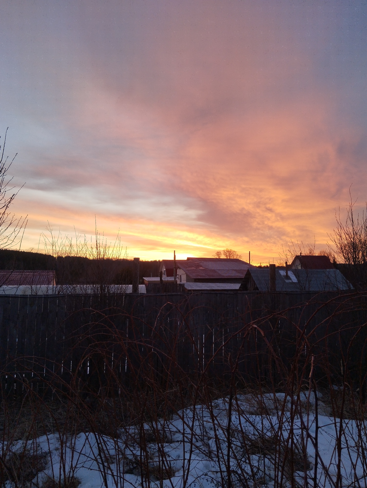 The image captures a vibrant sunrise in a rural setting, potentially within Grishanki, Russia. A wooden fence separates the foreground, which contains snow patches and dormant, reddish-brown brambles or similar vegetation, from the midground. Beyond the fence, the silhouettes of houses with various roof types are visible against the bright horizon. The sky is ablaze with colors transitioning from orange and yellow near the horizon to pink and light blue in the upper reaches. Silhouetted trees line the horizon on the left side of the image. There are no people visible.