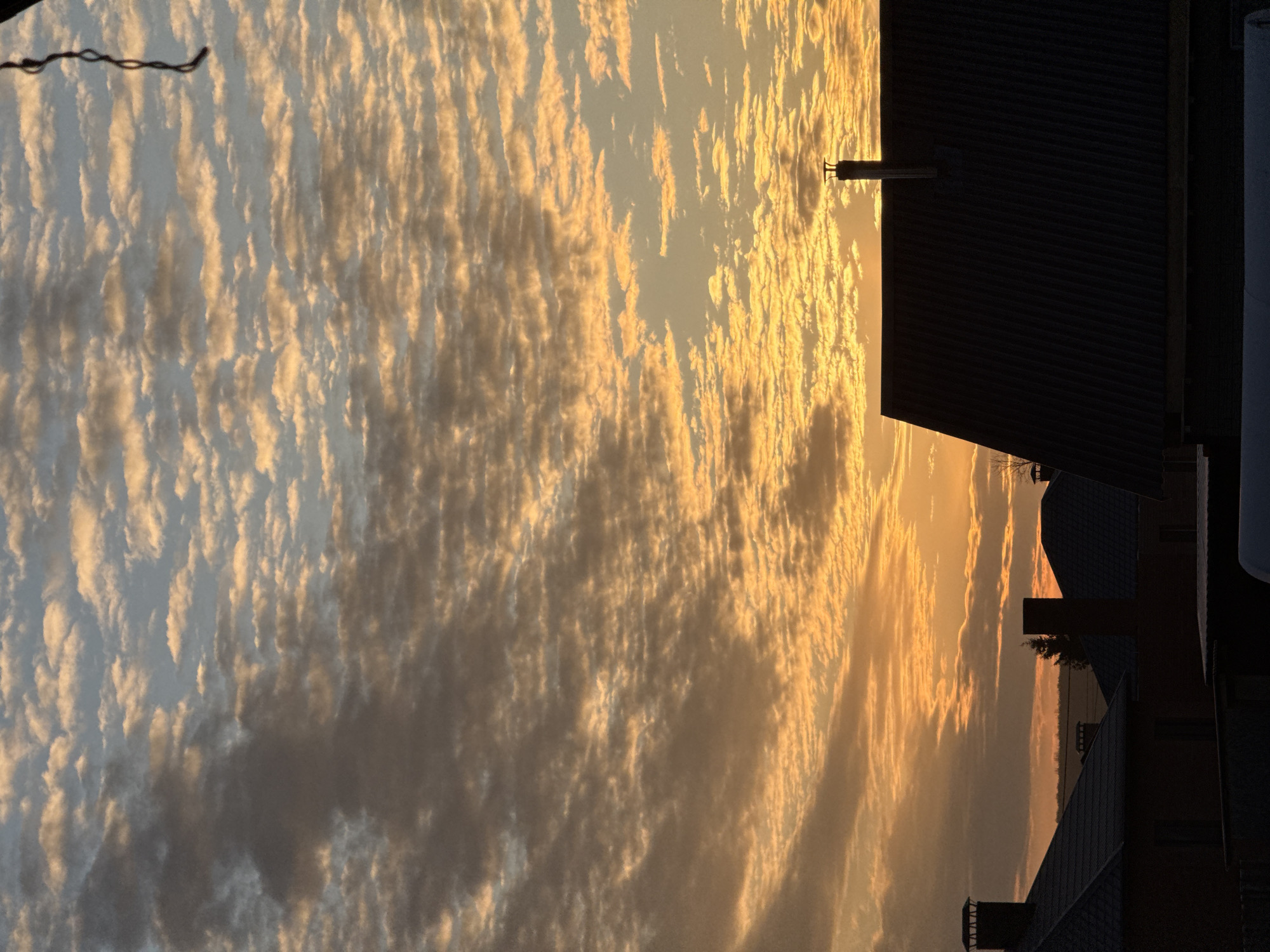 The image shows a view of the sky at sunset in Chaikovsky, Russia. The sky is filled with altocumulus clouds that are illuminated by the setting sun, creating a golden and orange glow. In the foreground, there are rooftops of buildings and a utility line.