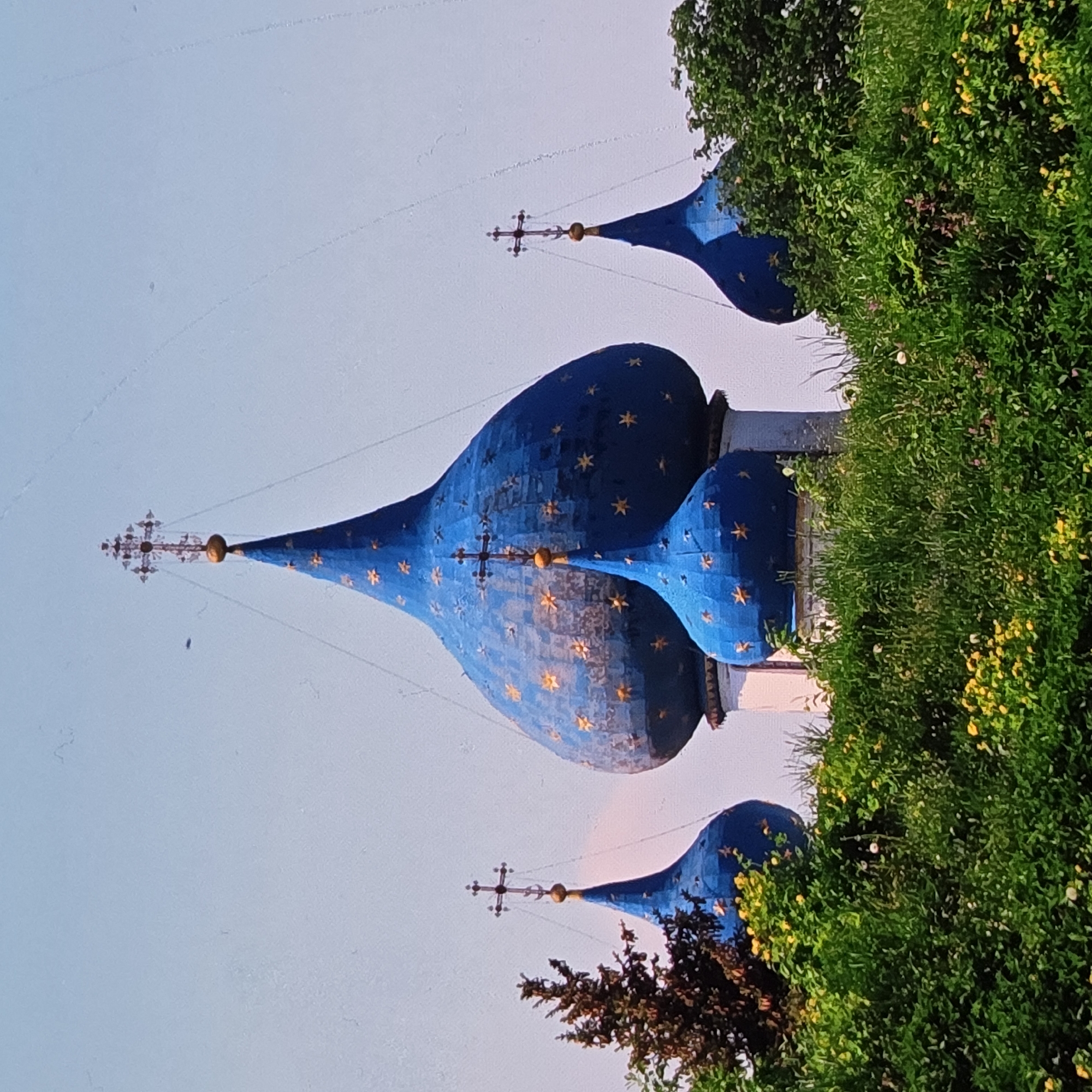 The image shows a view of the domes of the Assumption Cathedral in Vladimir, Russia. The domes are bright blue with golden stars and crosses. They are surrounded by lush green trees and vegetation, with a clear blue sky in the background. The scene is captured from a slightly low angle, looking up at the majestic architecture. The cathedral is a prominent landmark in Vladimir, known for its impressive onion domes and intricate details. The image appears to be a photograph taken during the daytime, with natural light illuminating the scene.