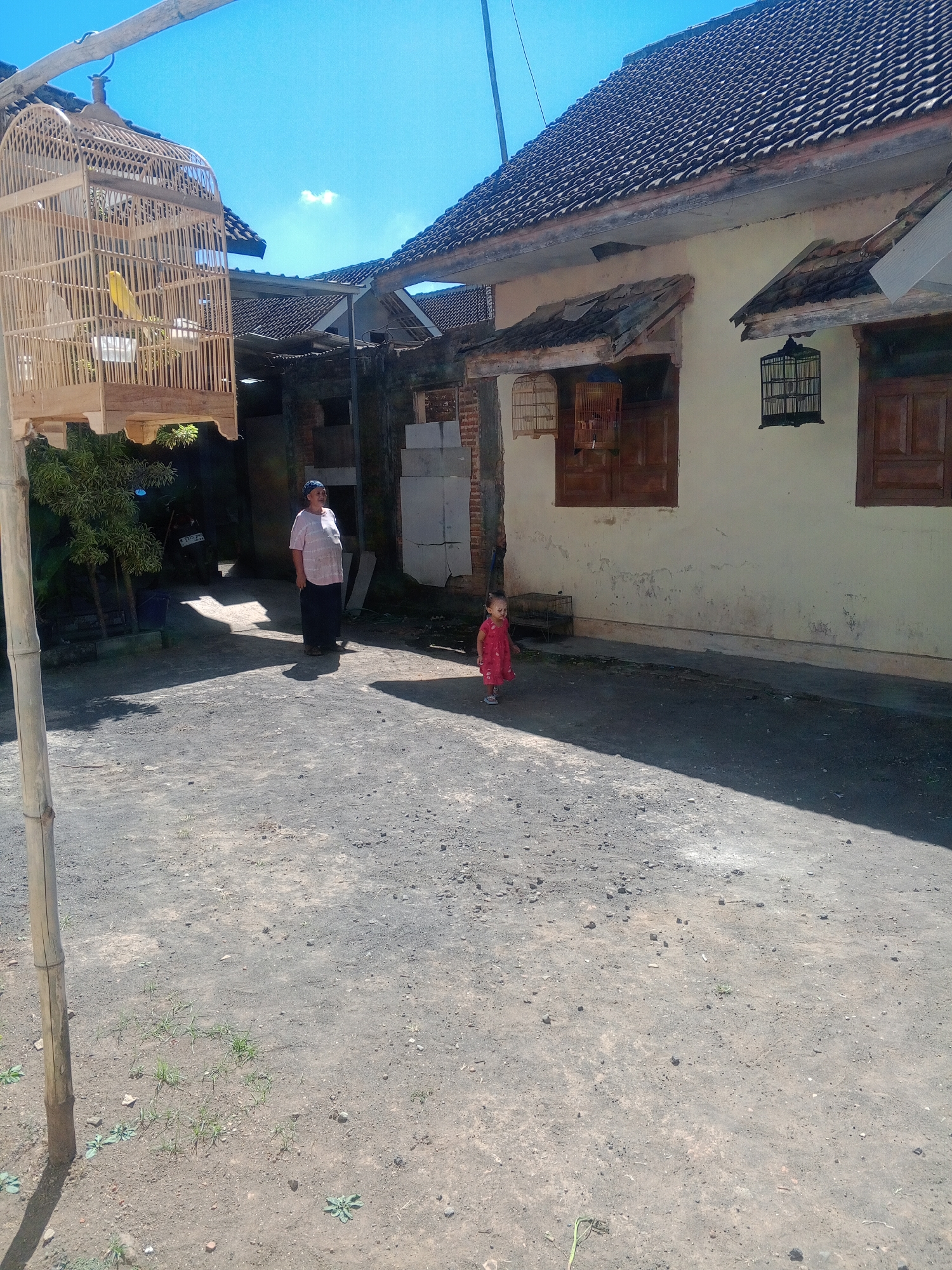 The image depicts a sunny outdoor scene at a residential property in Kemulan, Indonesia. In the foreground, a rough, dirt or gravel ground surface is visible, with sparse green vegetation and small rocks scattered throughout. A bamboo pole stands vertically on the left side of the frame, casting a shadow on the ground.

Dominating the left side of the image is a large, woven birdcage hanging from a wooden structure. Inside, a small yellow bird is perched. Further back, a person, appearing to be an adult male wearing a light-colored shirt and dark trousers, stands facing towards the camera, partially in shadow. To the right of the man, a young child in a bright red dress is walking away from the camera.

In the background, a simple building with a dark tiled roof is prominent. Two wooden-framed windows are visible on the light-colored exterior wall. A black birdcage hangs outside one of the windows. Another, lighter-colored birdcage is mounted on the wall near the windows. Part of the building's roofline, with visible rafters and corrugated metal, extends from the main structure. A motorcycle is parked in a shaded area behind the adult male. The overall environment suggests a rural or semi-urban setting on a clear day.