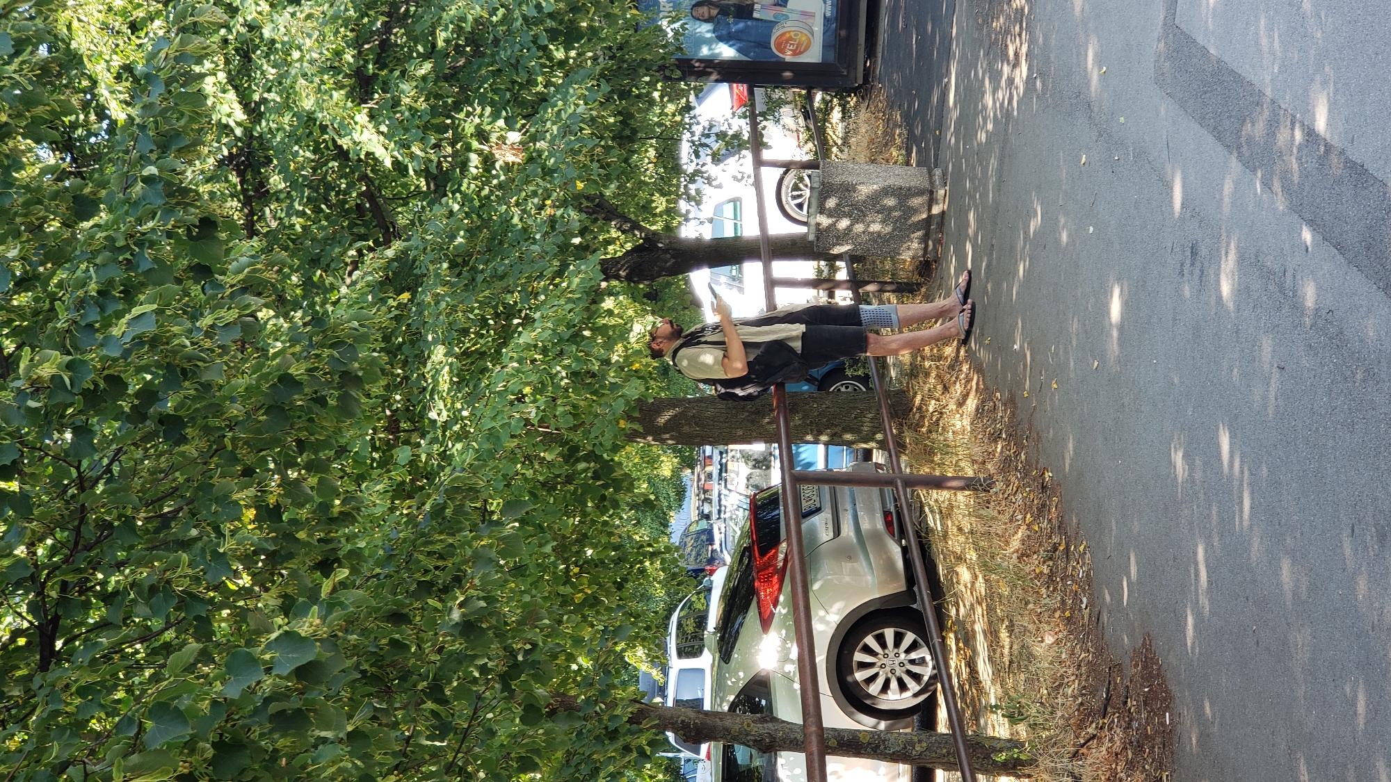 In Bratislava, Slovakia, on a sunny day, a man stands under the shade of a tree, looking at his phone. He has a backpack on his shoulders and is wearing shorts and sandals. Cars are parked behind him, and a fence separates him from the parking lot. A concrete trash bin is next to him. The ground is paved, with some dry leaves scattered around. A billboard with a woman's image is visible in the background on the right. The scene is typical of an urban environment on a warm day.