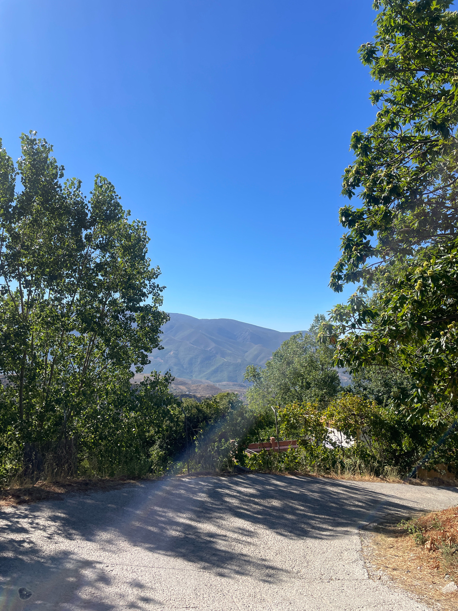 The image depicts a rural road in Lanjarón, Spain, on a clear, sunny day. Lush green trees frame the scene, with one on the left and another on the right, both casting dappled shadows on the asphalt road. In the background, rolling hills and mountains stretch across the horizon under a bright blue sky. The road appears to be a two-lane paved surface, with dry grass and some vegetation growing along its edges. A subtle lens flare is visible on the right side of the image, hinting at the bright sunlight. A small, red-brown signpost with some unreadable text is partially visible on the right side of the road amidst the foliage. The overall impression is one of a serene, natural landscape.