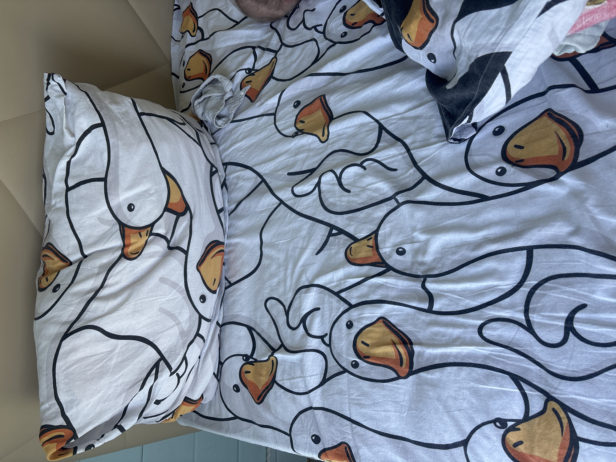 The image shows a bed with white sheets and a pillowcase, both patterned with illustrations of white geese with orange beaks and black outlines. A portion of a light tan upholstered headboard is visible to the left. Part of a person's head and a gray garment are visible at the top of the bed. The bottom of the bed is partially visible and is light blue. There is no indication of the city of Раздолье, Russia, in the image.